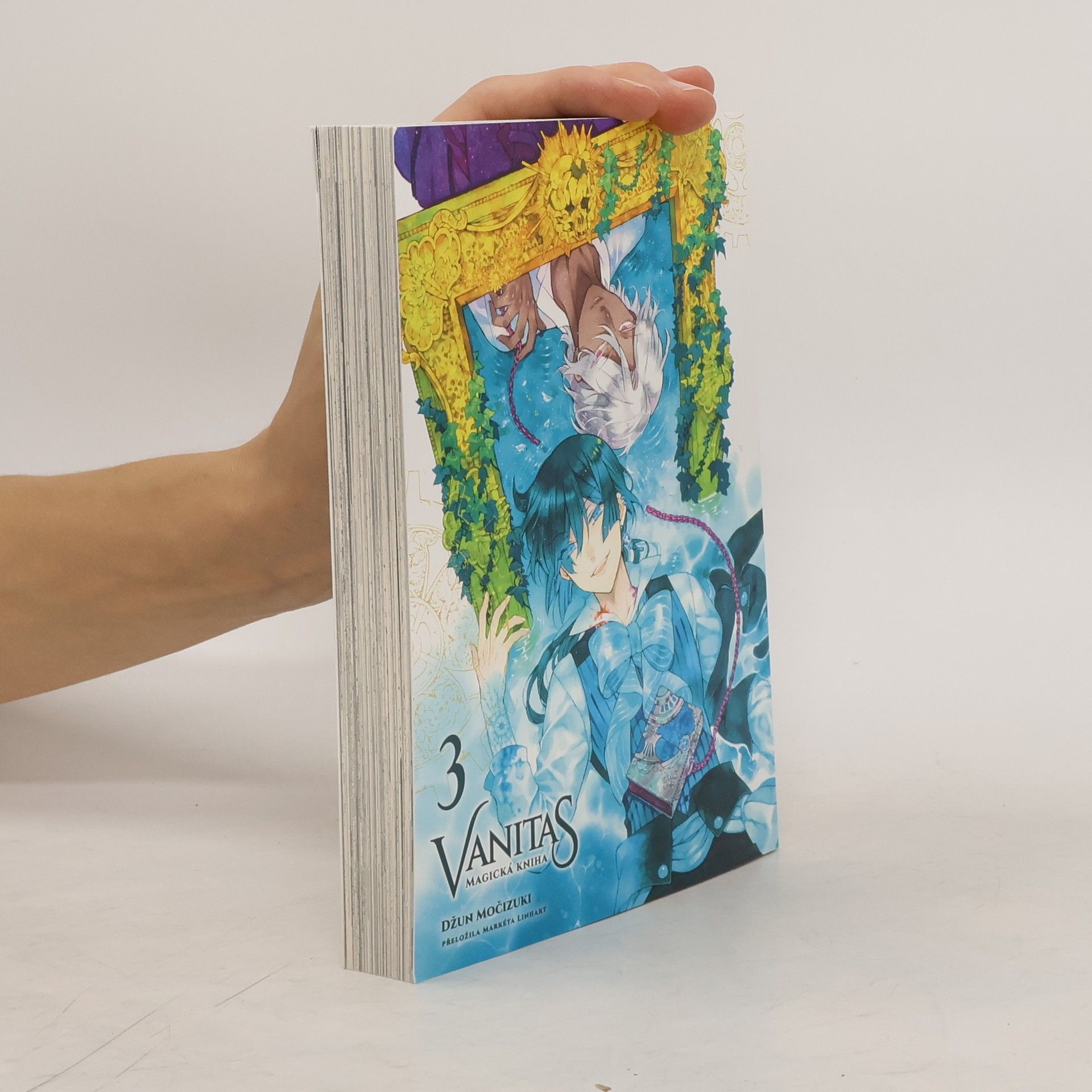 Jun Mochizuki Vanitas 3