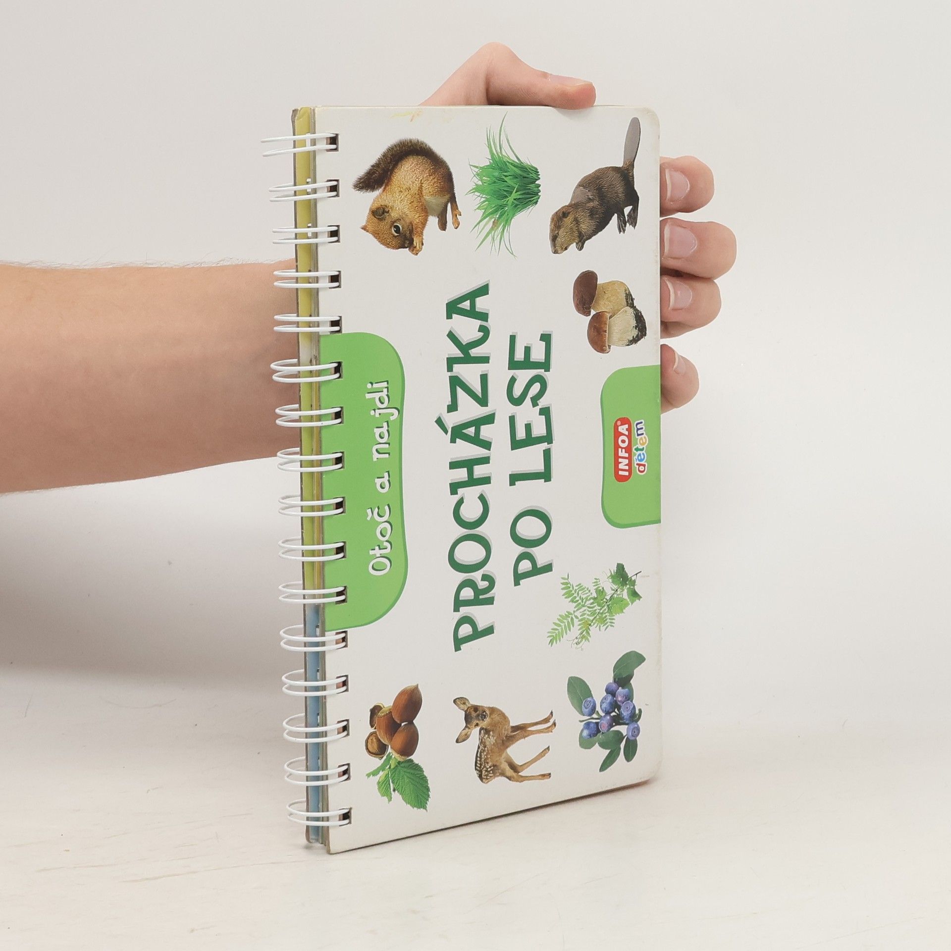 Kolektiv autorů Procházka po lese