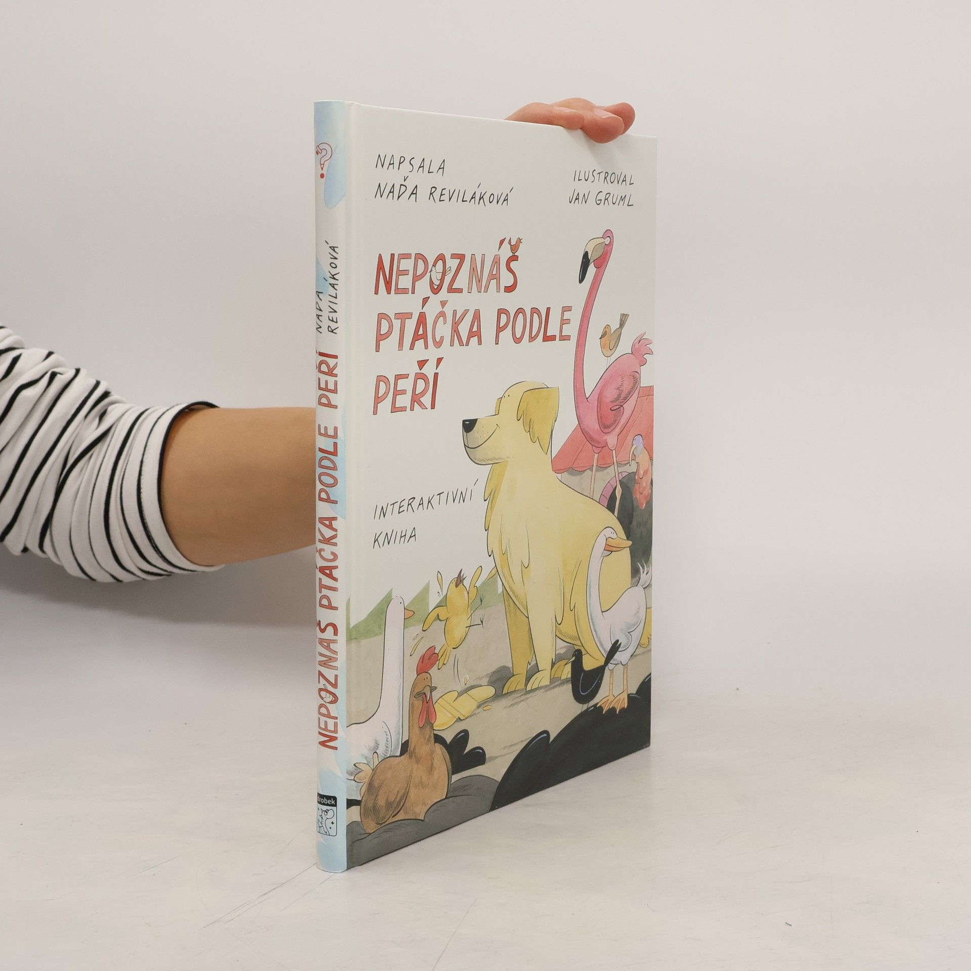 Nepoznáš ptáčka podle peří