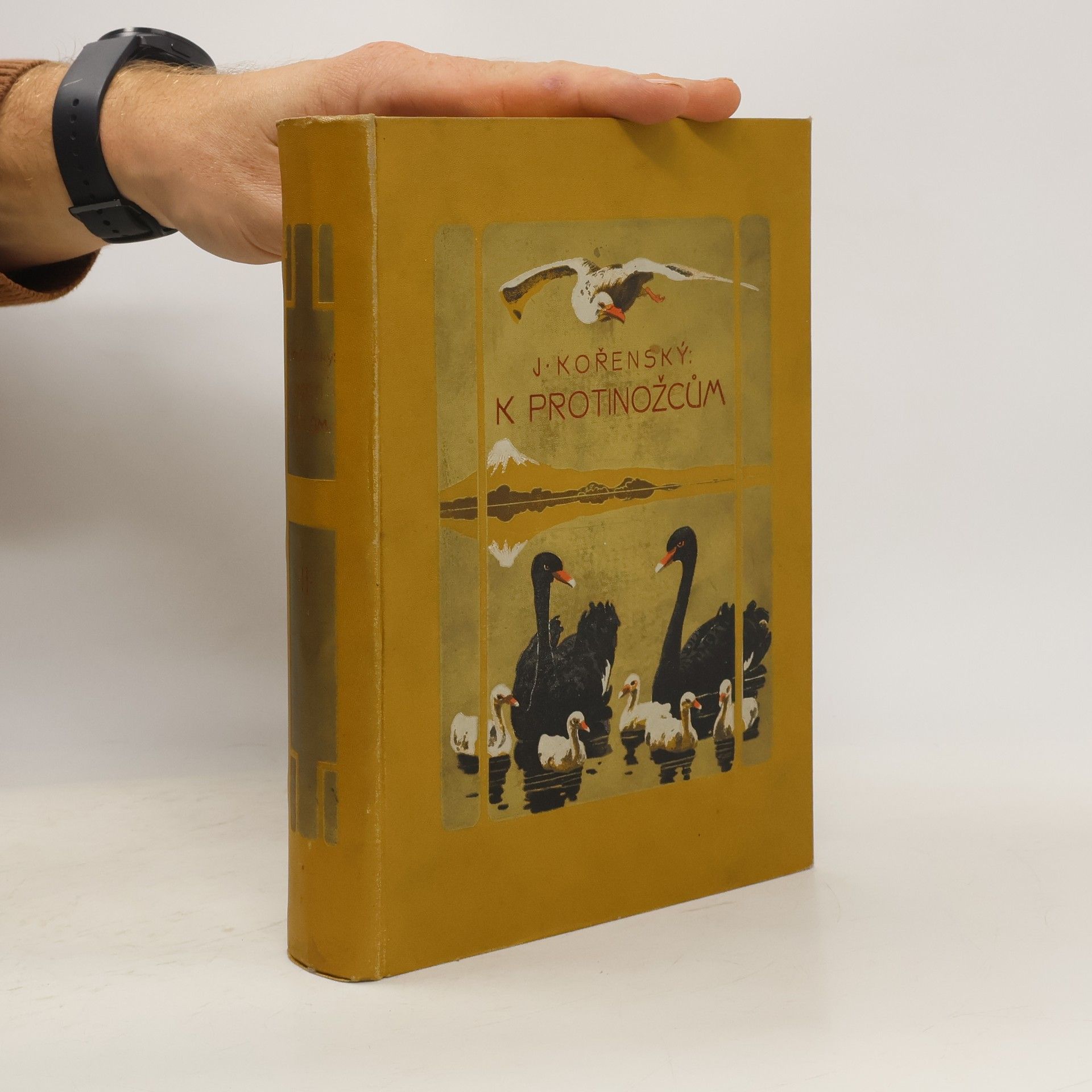Josef Kořenský Cesta k protinožcům II