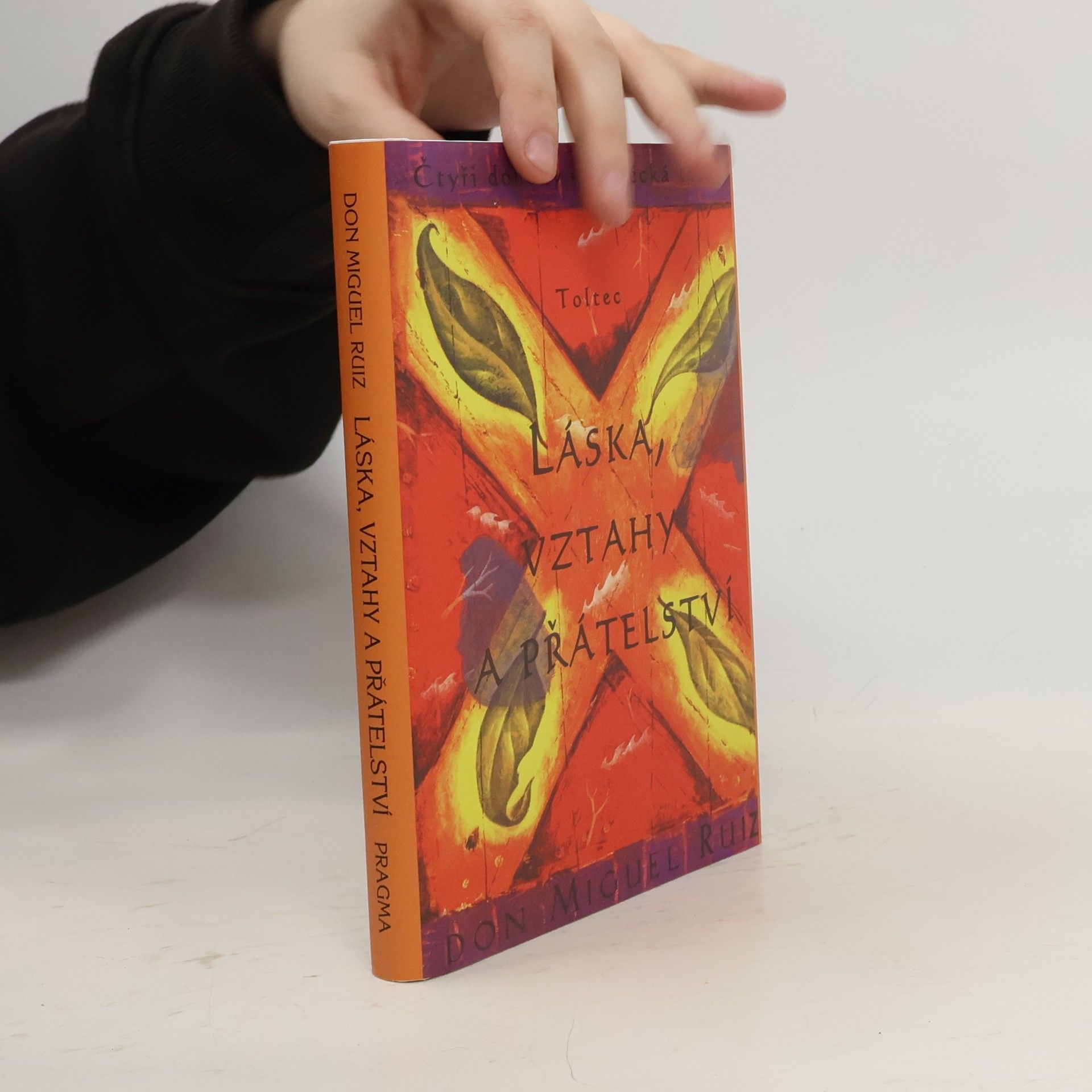 Don Miguel Ruiz Láska, vztahy a přátelství