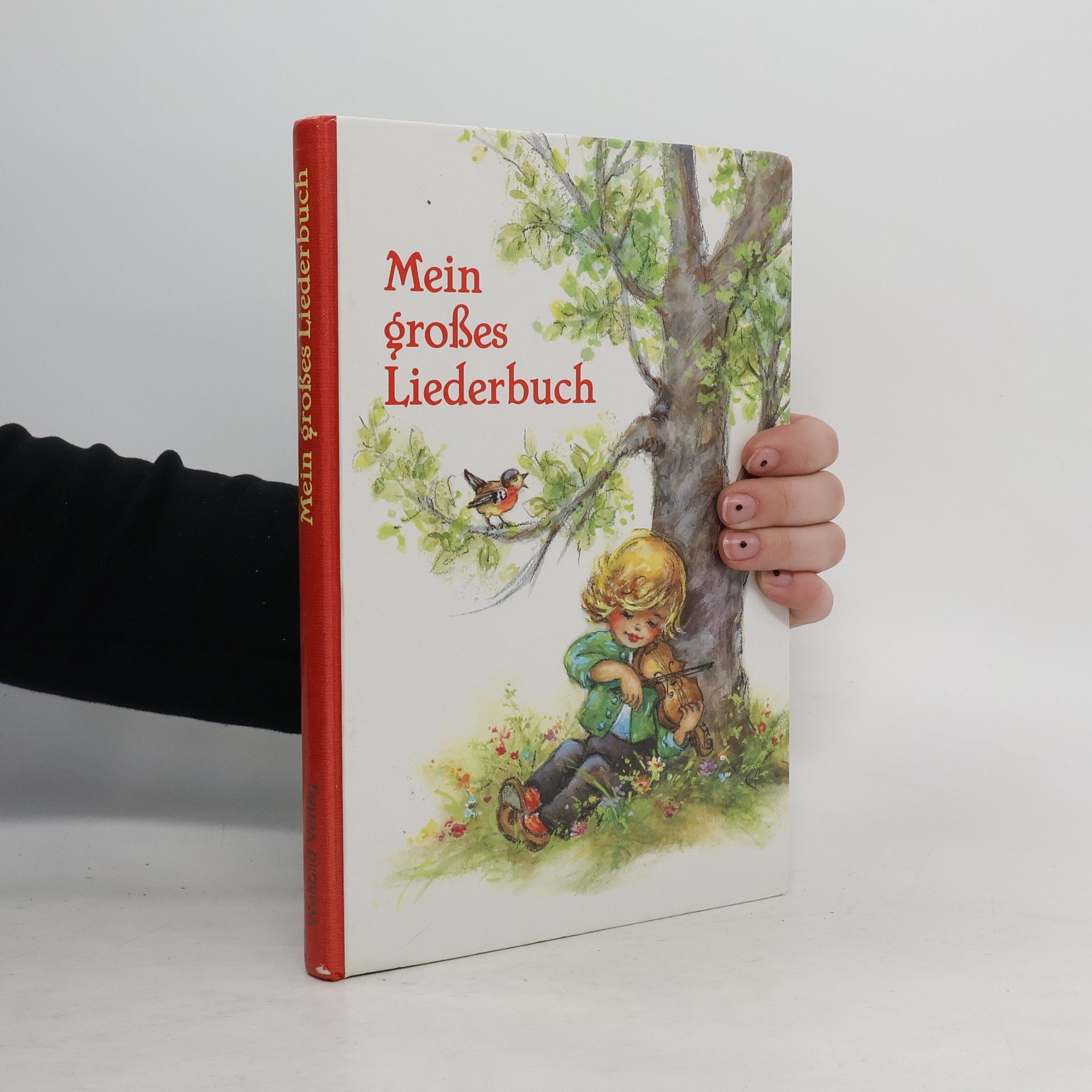 Lore Hummel Mein großes Liederbuch. Illustrationen Lore Hummel