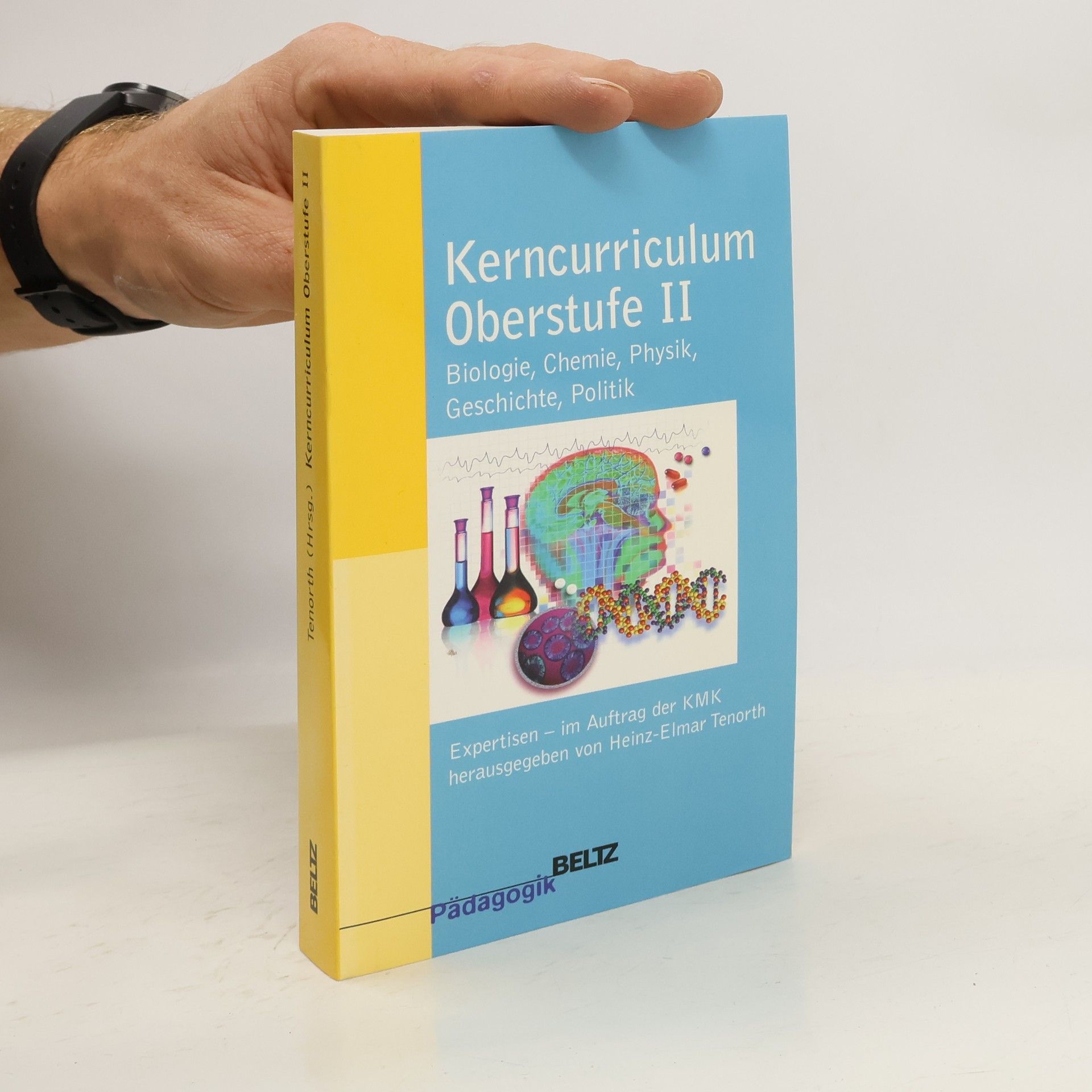 Collectif d'auteurs Kerncurriculum Oberstufe