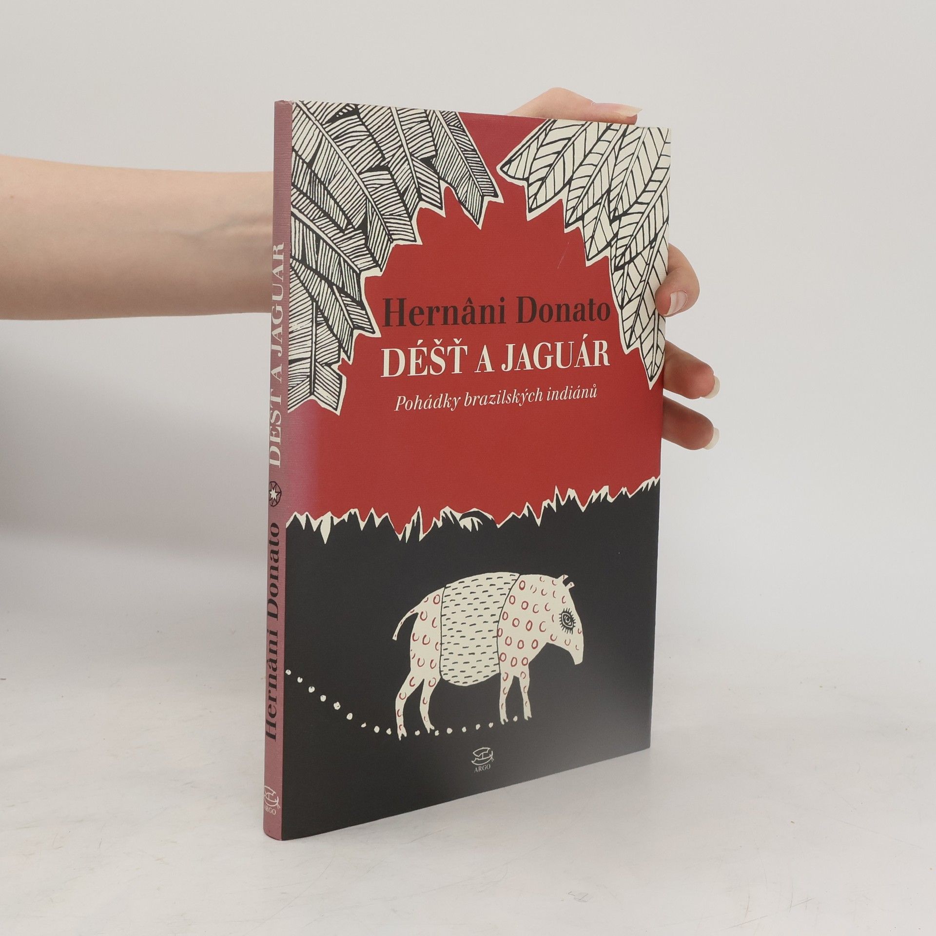 Déšť a jaguár : pohádky brazilských indiánů