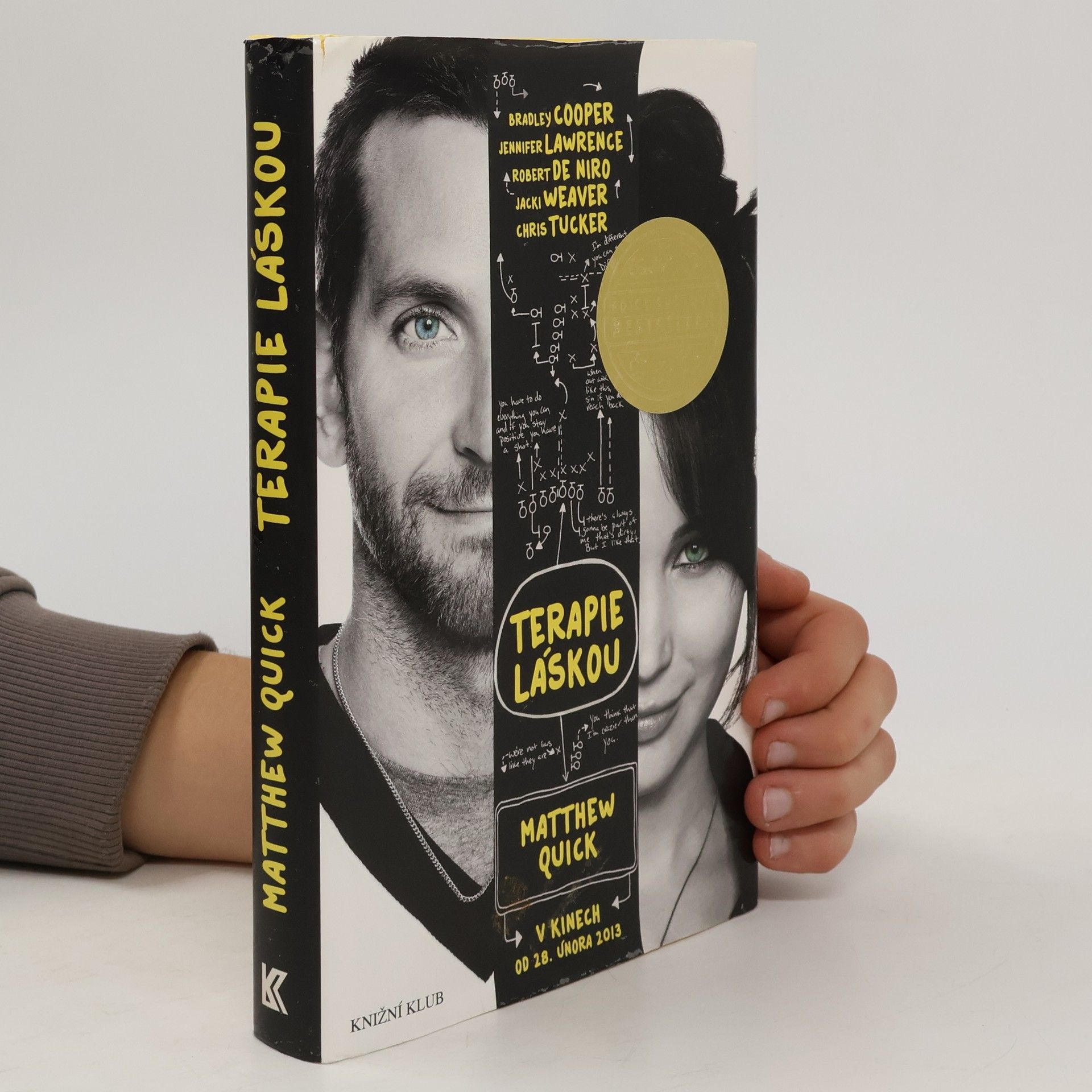Matthew Quick Terapie láskou