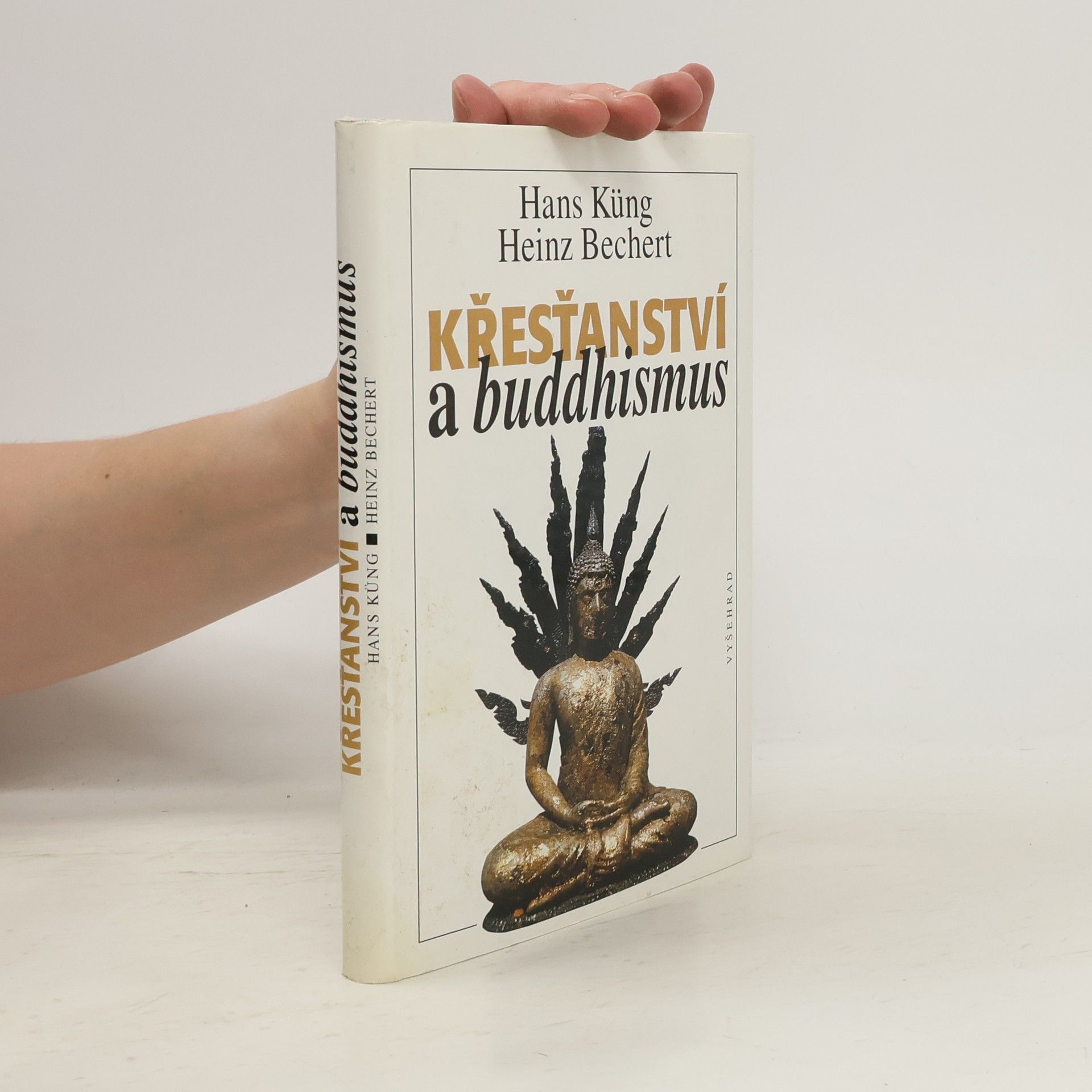 Hans Küng Křesťanství a buddhismus. Na cestě k dialogu