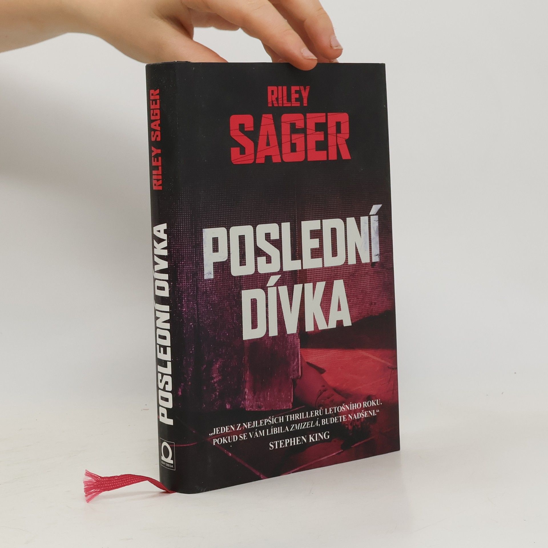 Todd Ritter Poslední dívka