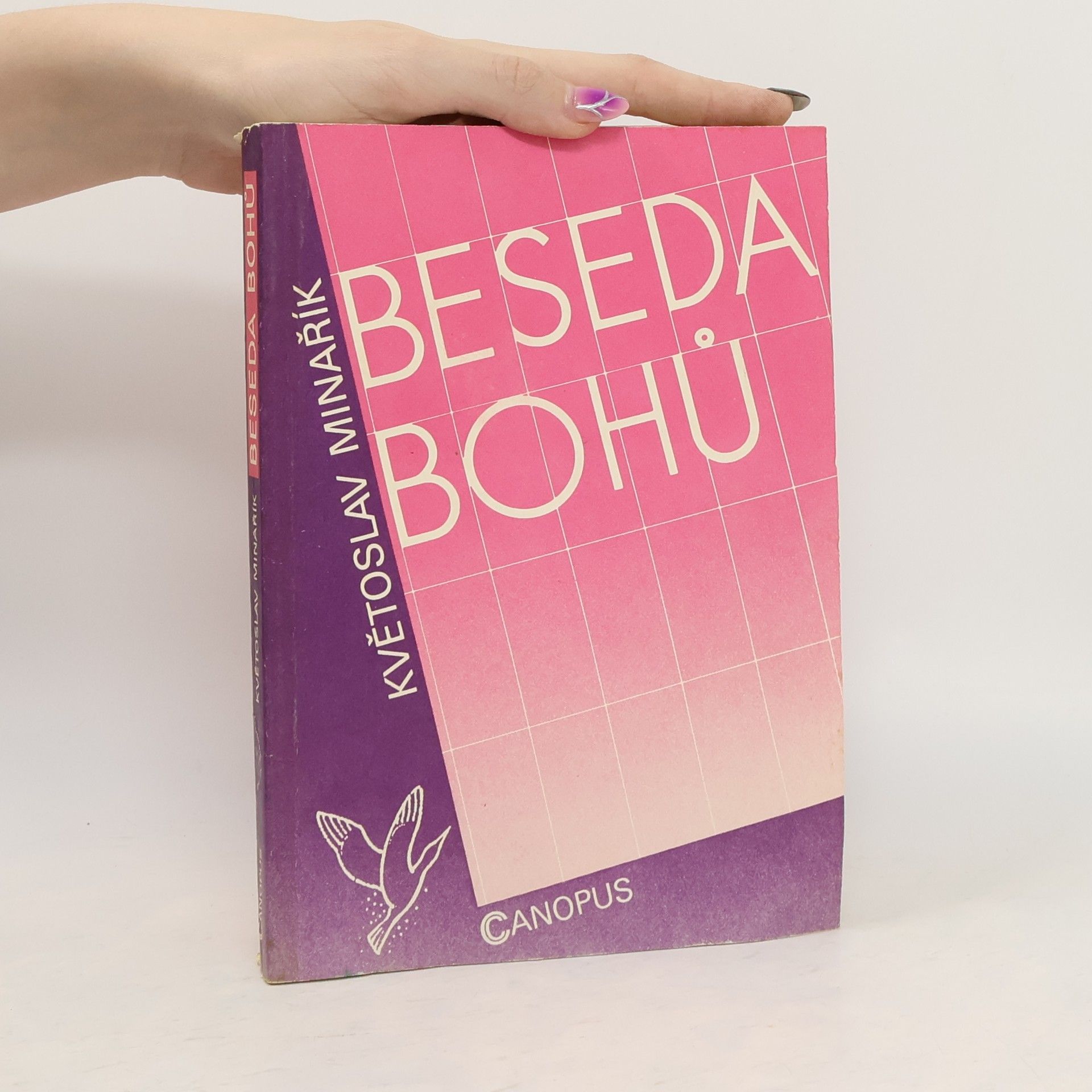 Květoslav Minařík Beseda bohů