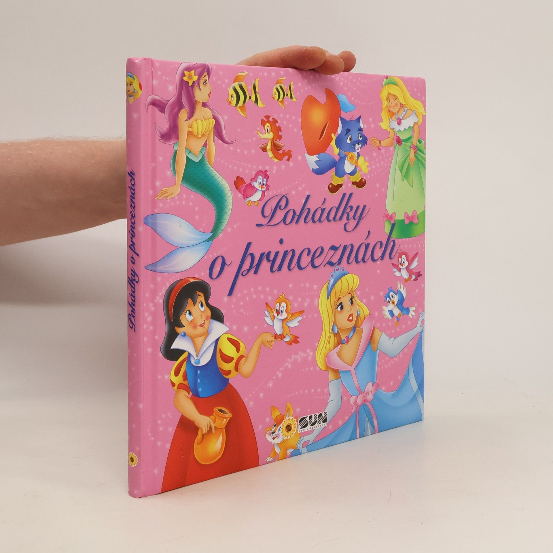 Autorenkollektiv Pohádky o princeznách