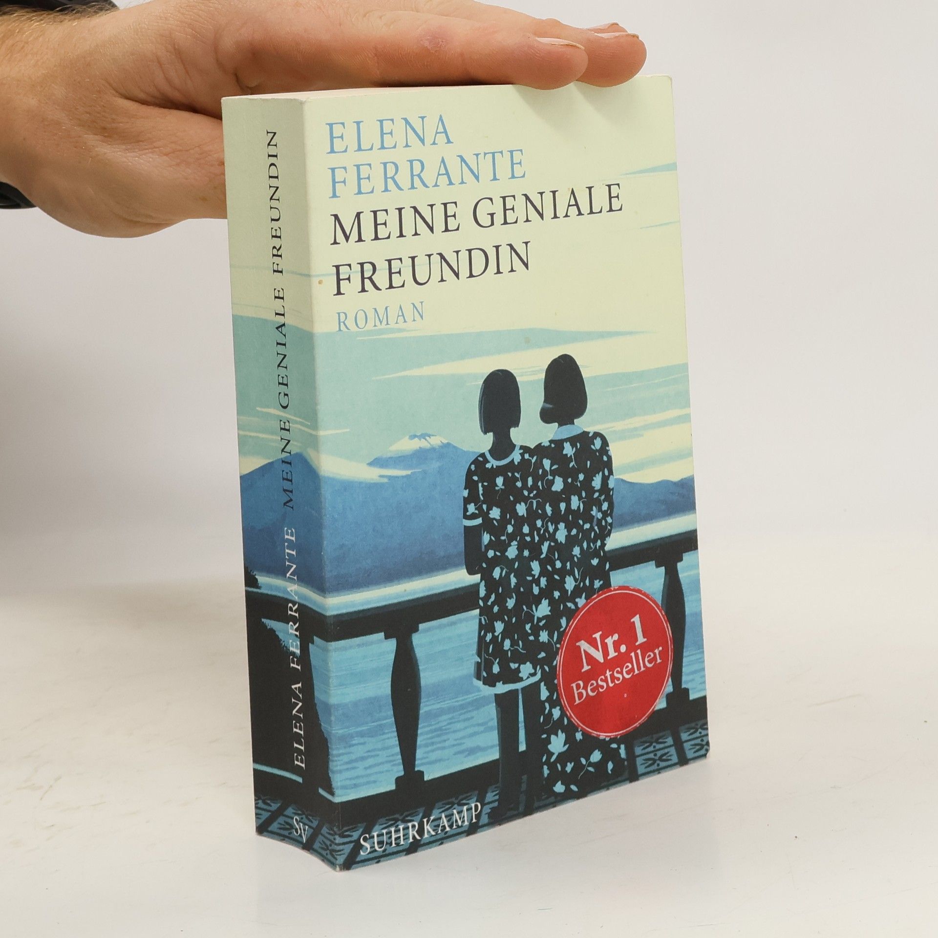 Elena Ferrante Meine geniale Freundin