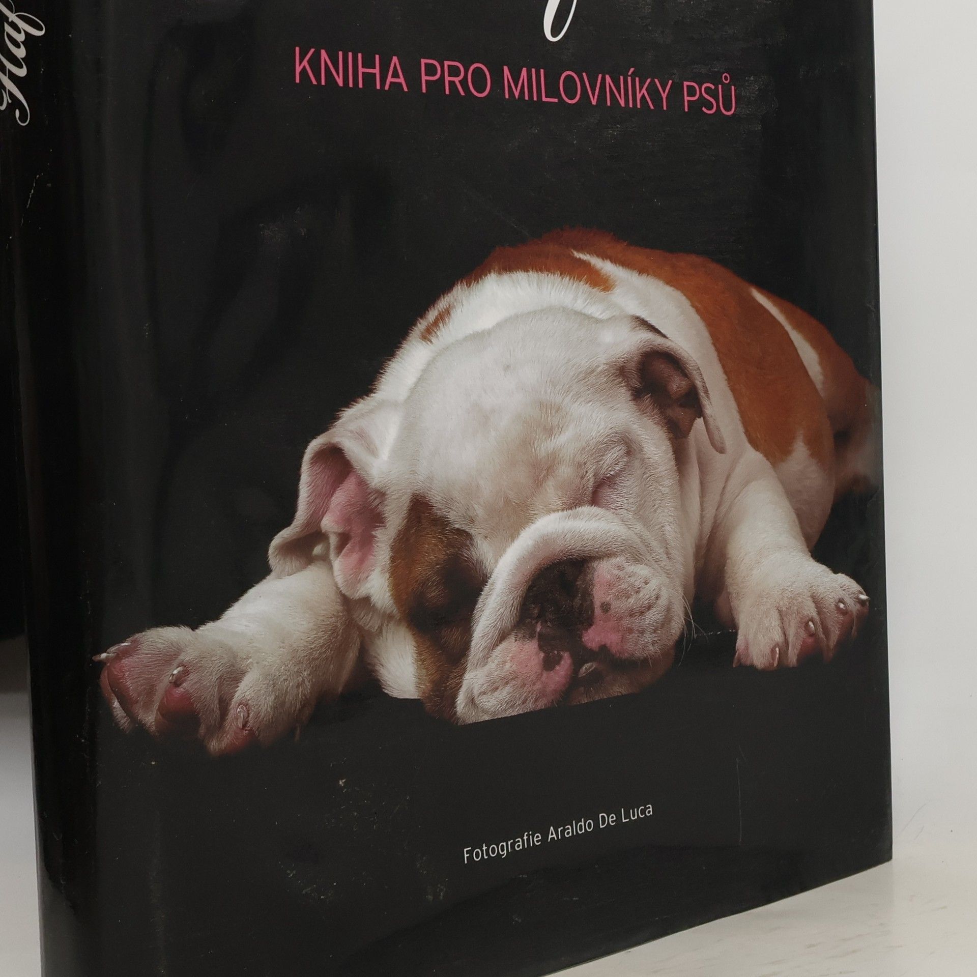 Jane Burton Haf! Kniha pro milovníky psů