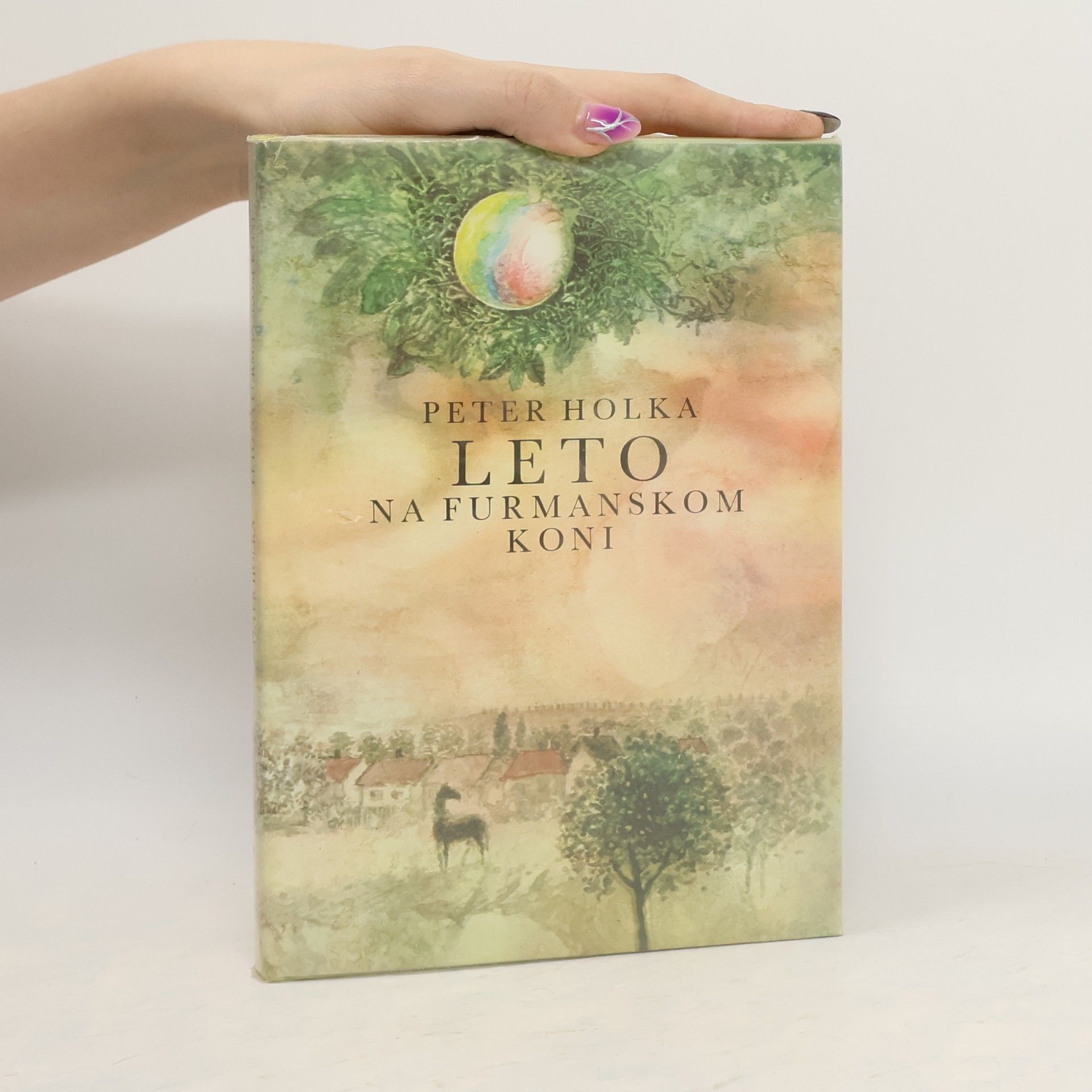 Karol Ondreička Leto na furmanskom koni