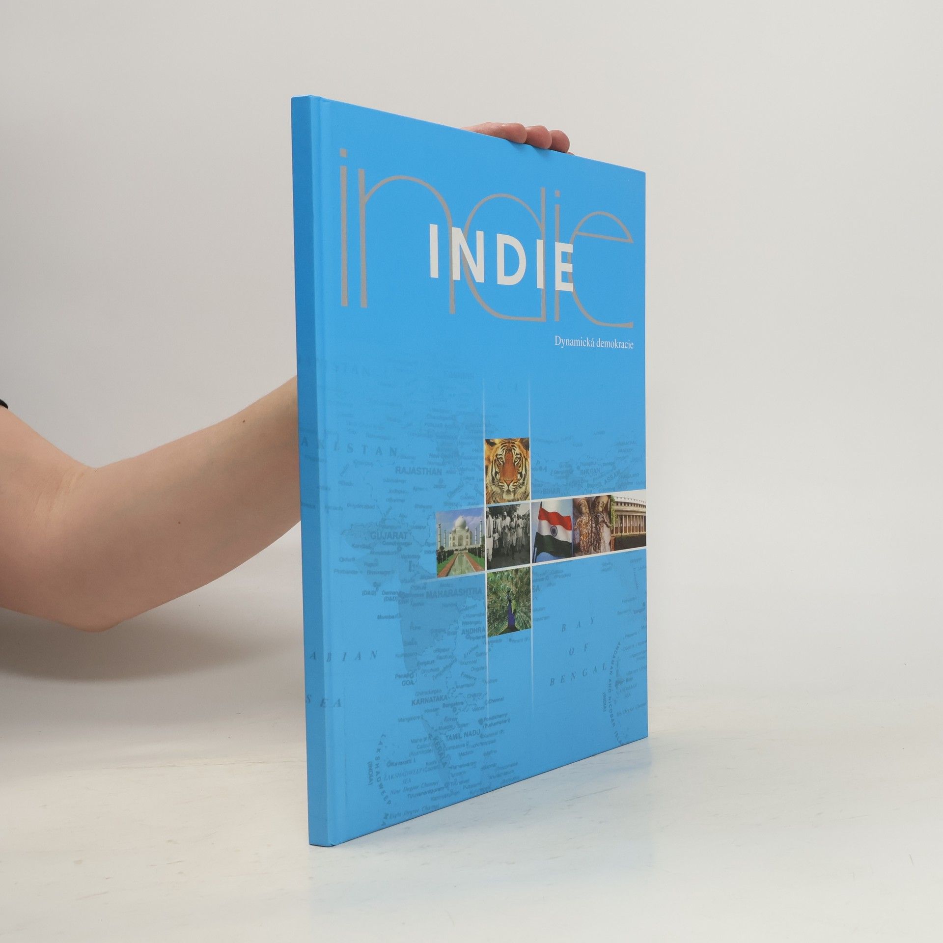 Auteurscollectief Indie. Dynamická demokracie