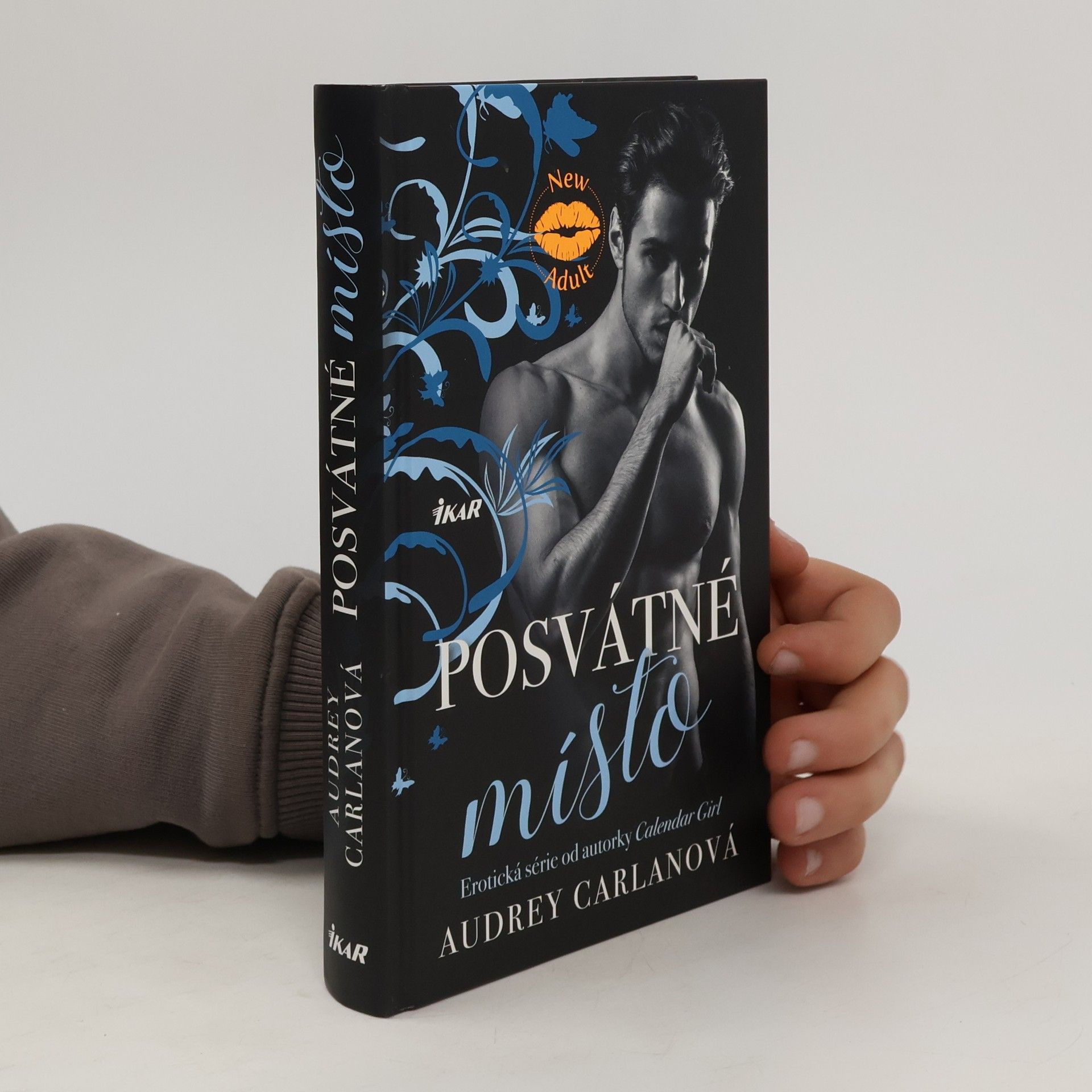 Audrey Carlan Posvátné místo