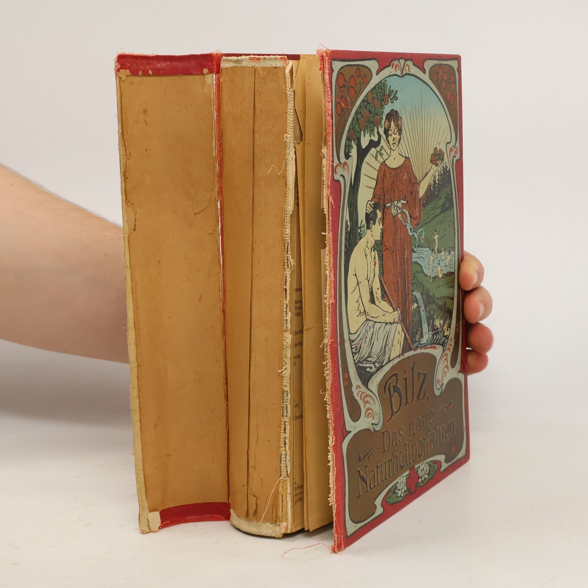 Das neue Naturheilverfahren II.