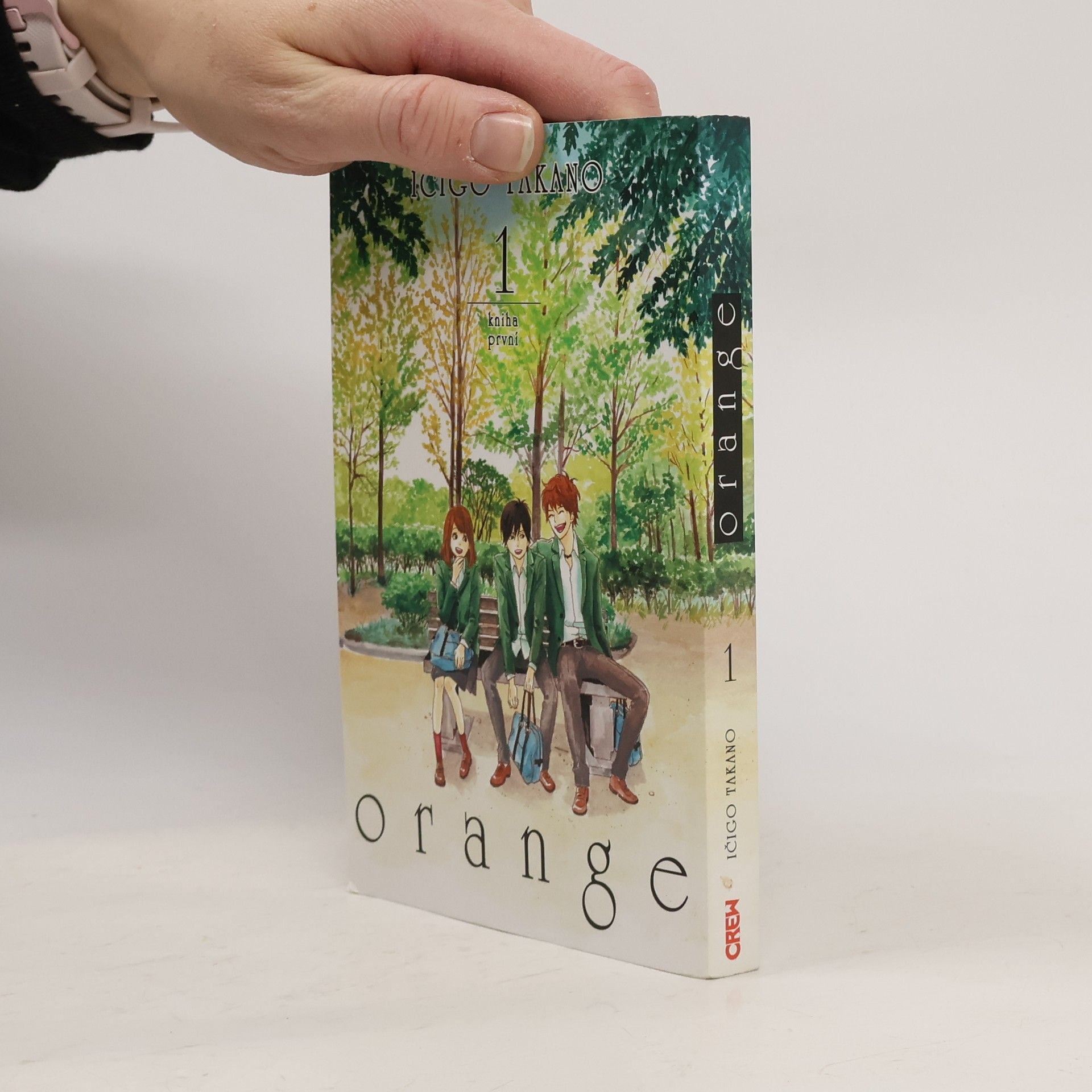 Ičigo Takano Orange 1