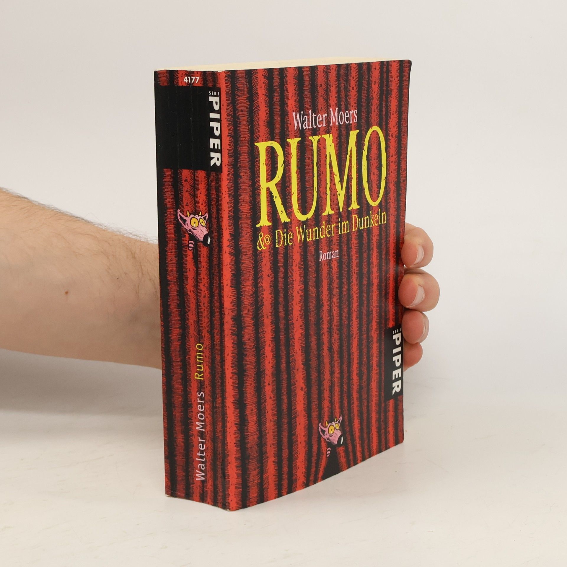 Rumo & Die Wunder im Dunkeln