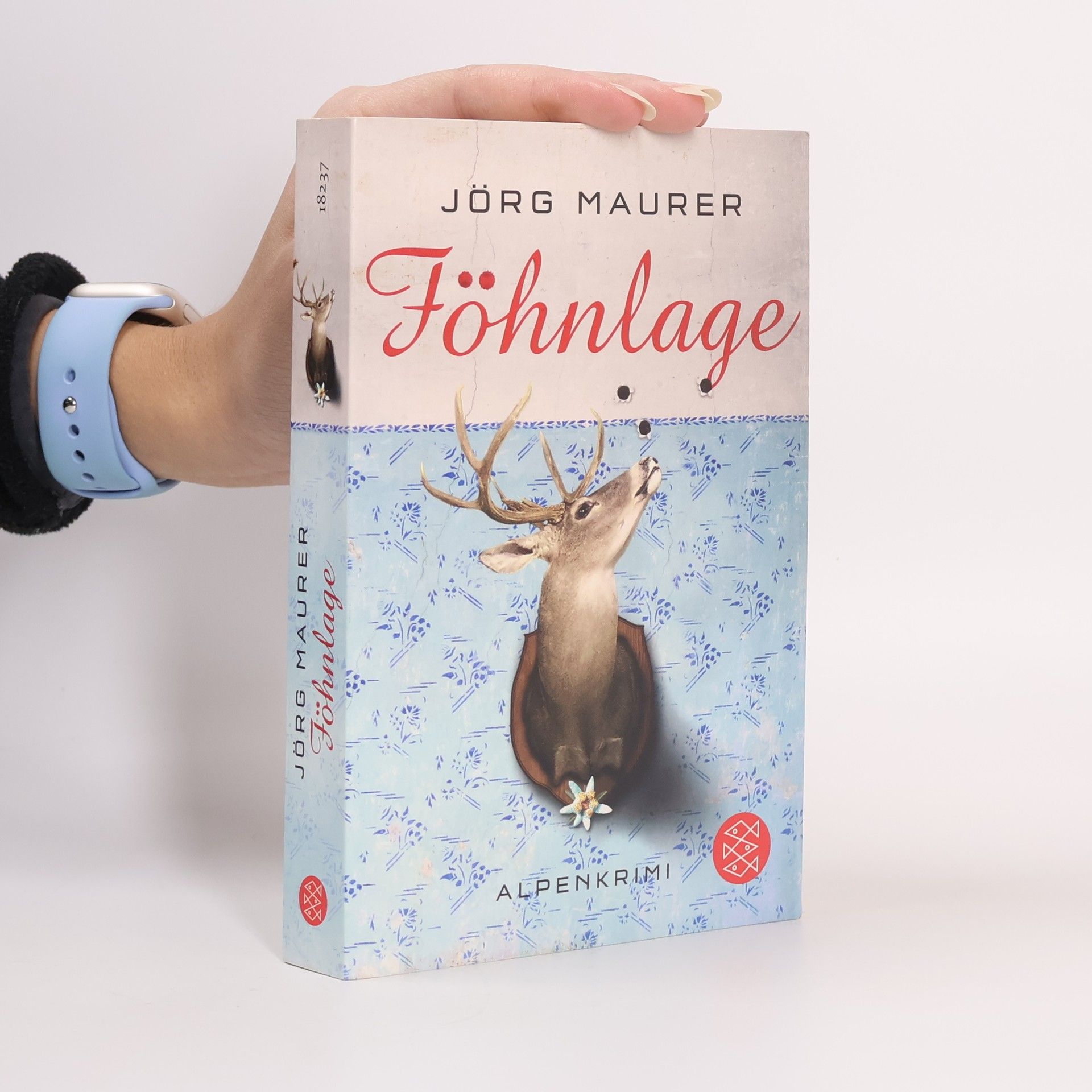 Föhnlage