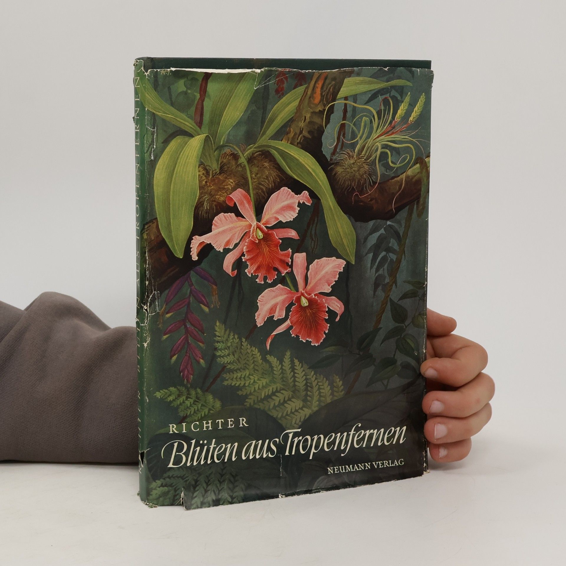 Walter Richter Blüten aus Tropenfernen