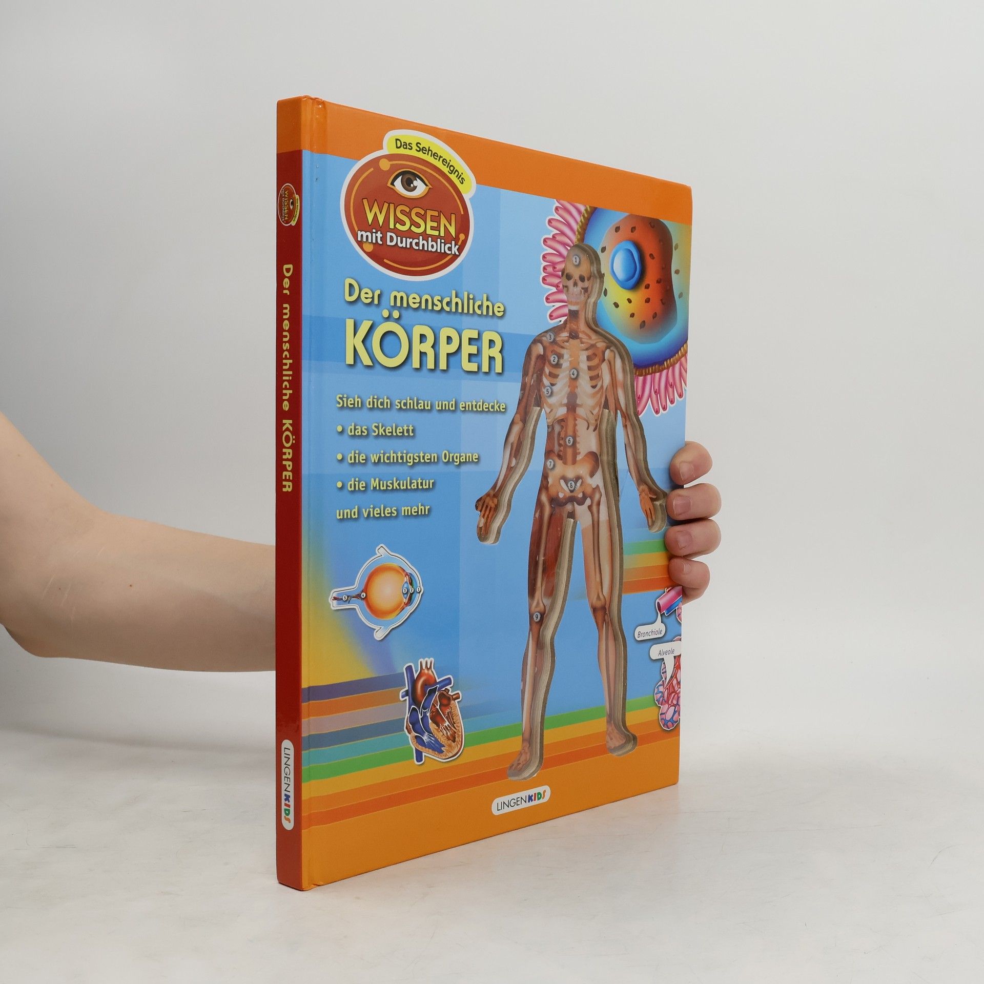 Autorenkollektiv Der menschliche Körper