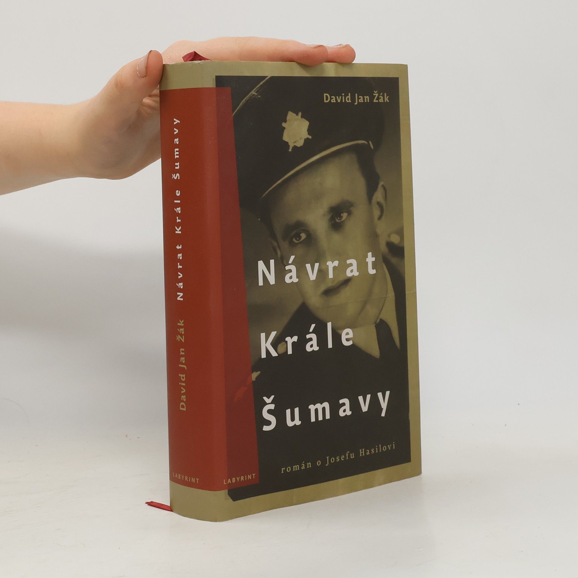 David Jan Žák Návrat Krále Šumavy