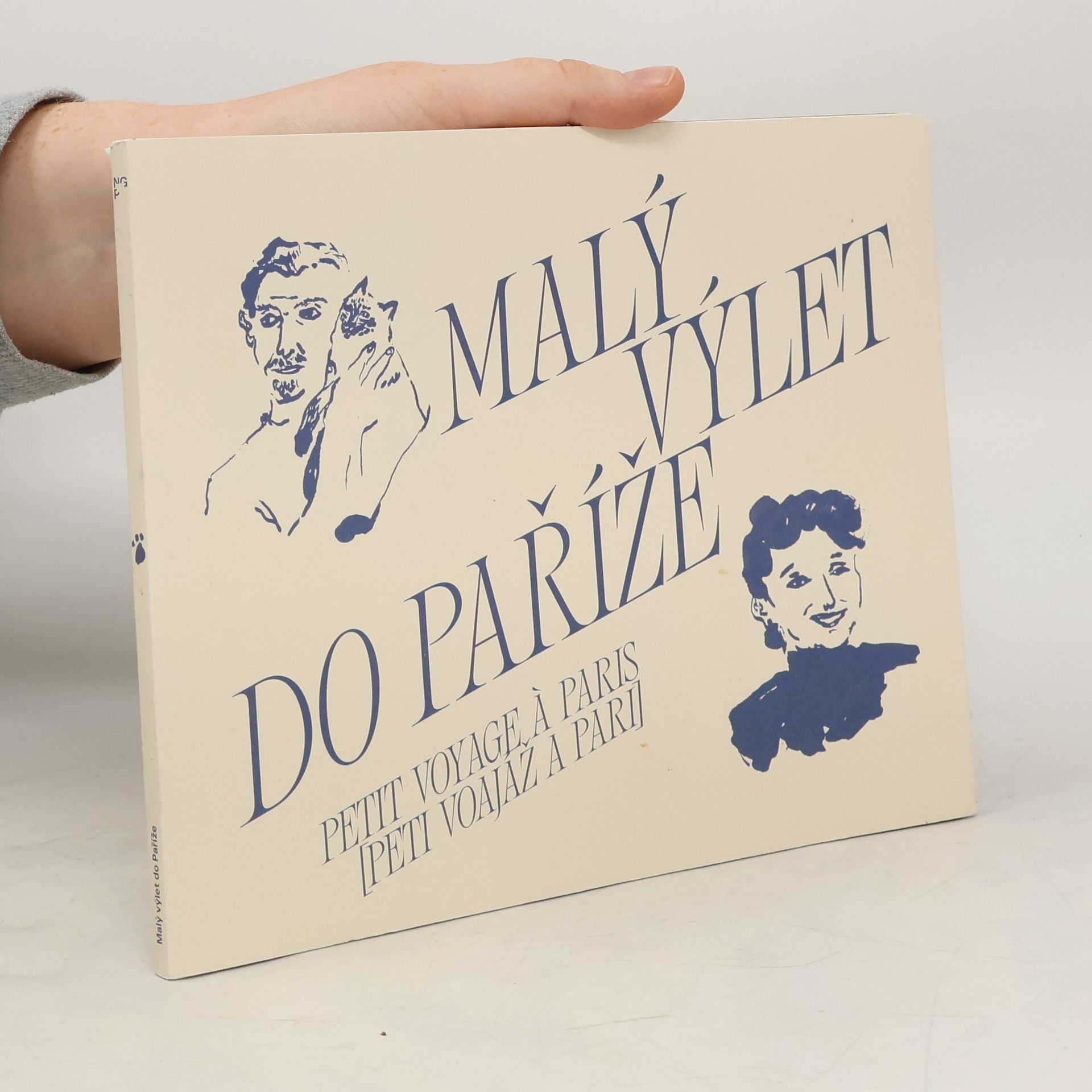 Malý výlet do Paříže