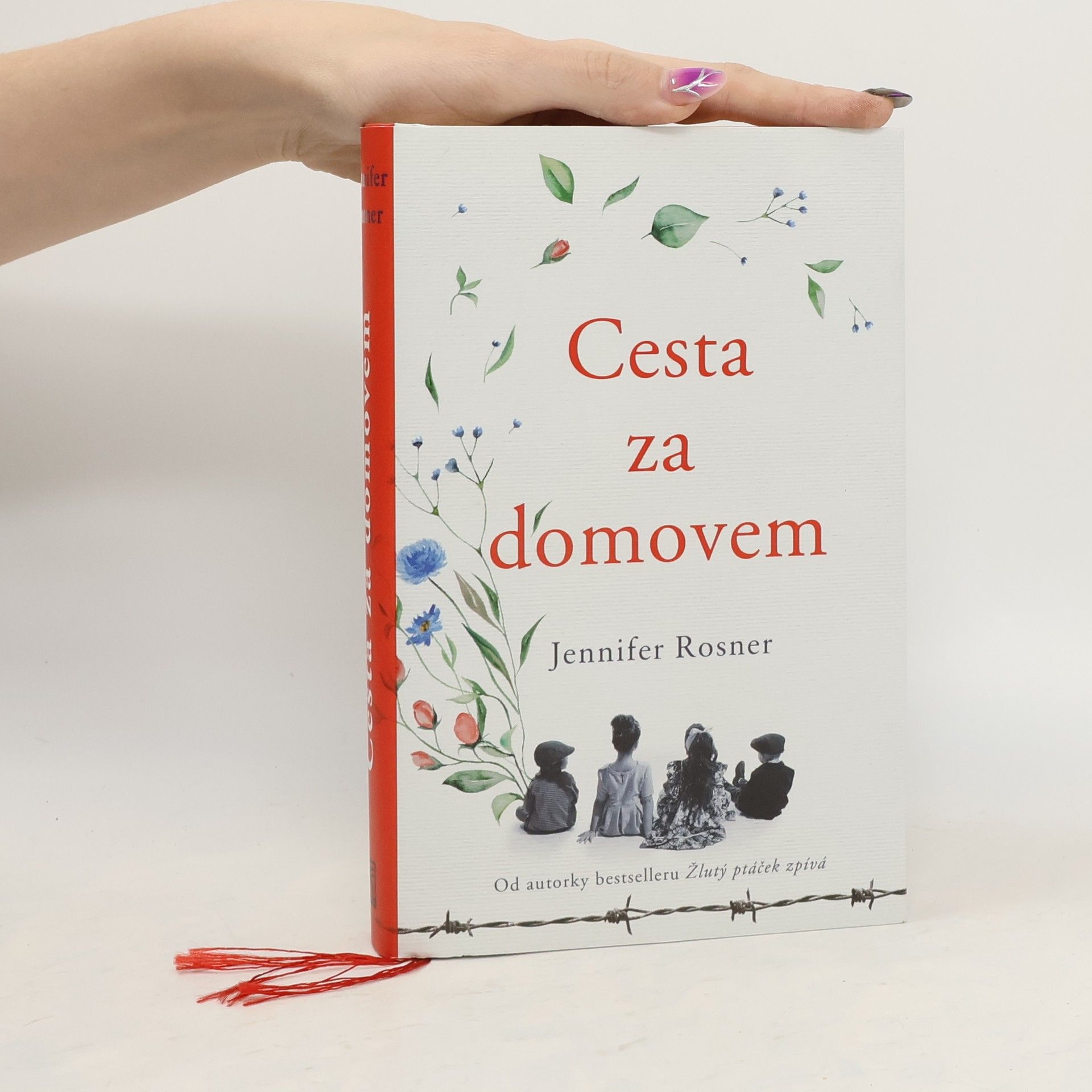 Bronislava Grygová Cesta za domovem