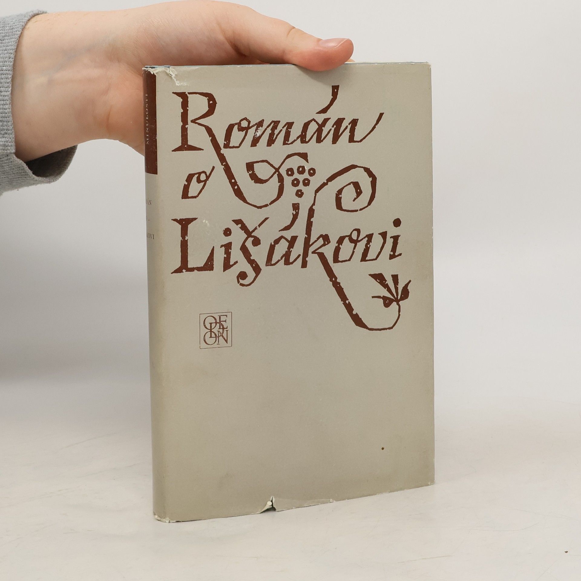 Collectif d'auteurs Román o lišákovi