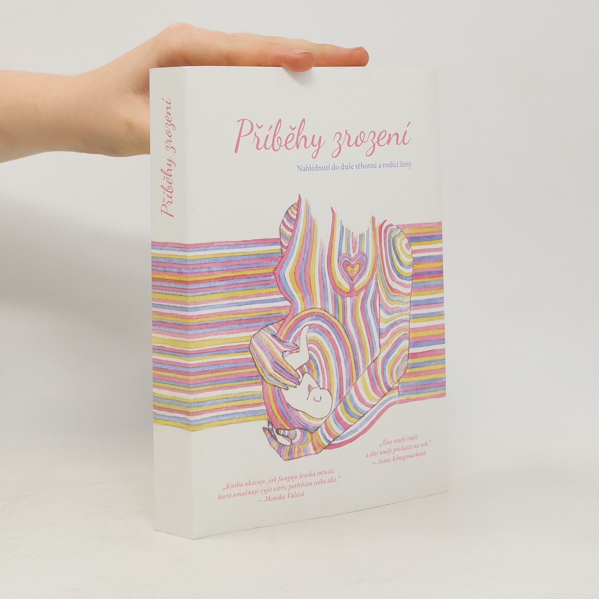 Kolektív autorov Příběhy zrození