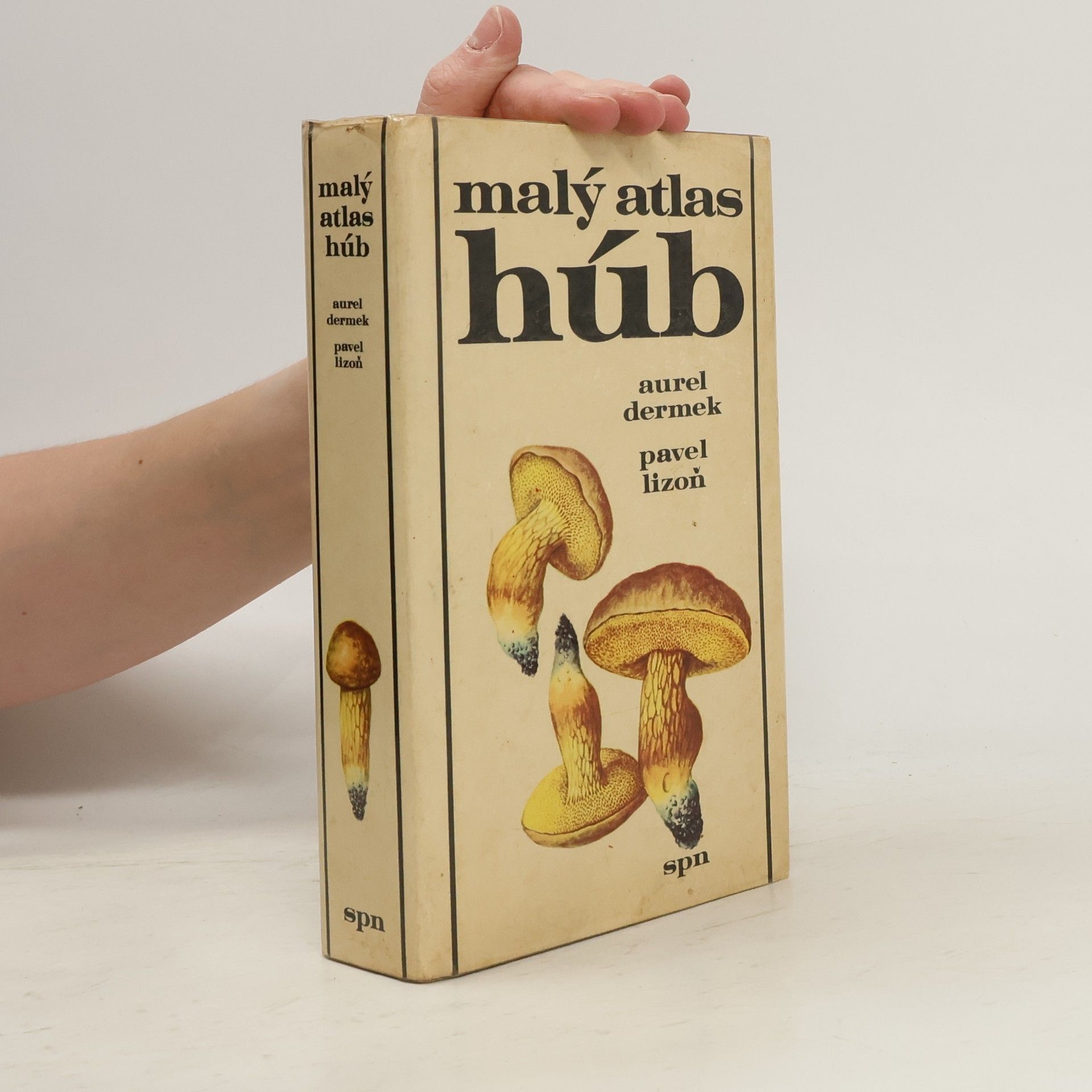 Aurel Dermek Malý atlas húb