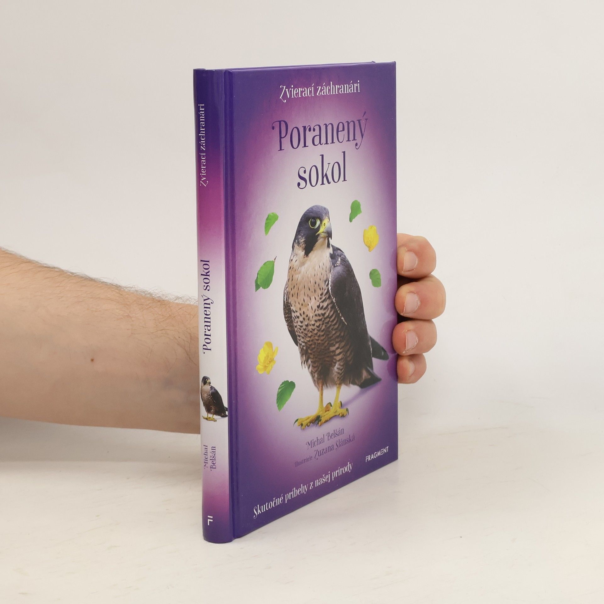 Zvierací záchranári - Poranený sokol