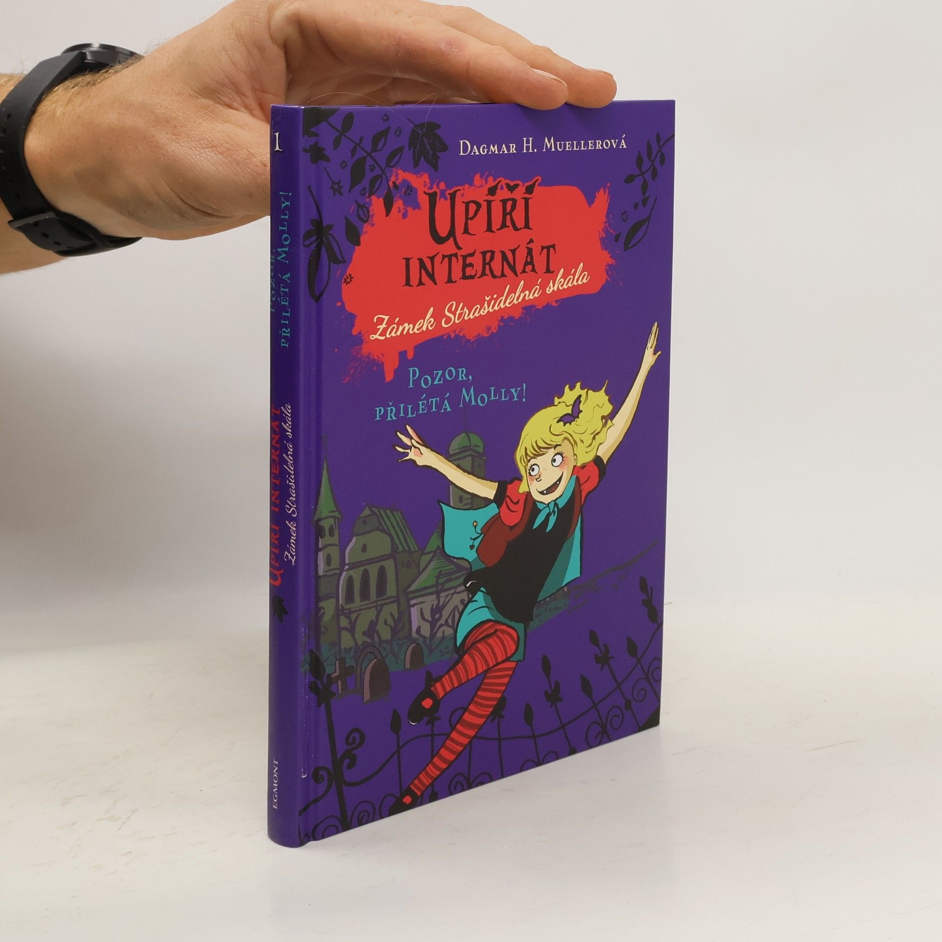 Dagmar H. Mueller Upíří internát Zámek Strašidelná skála. Pozor, přilétá Molly!