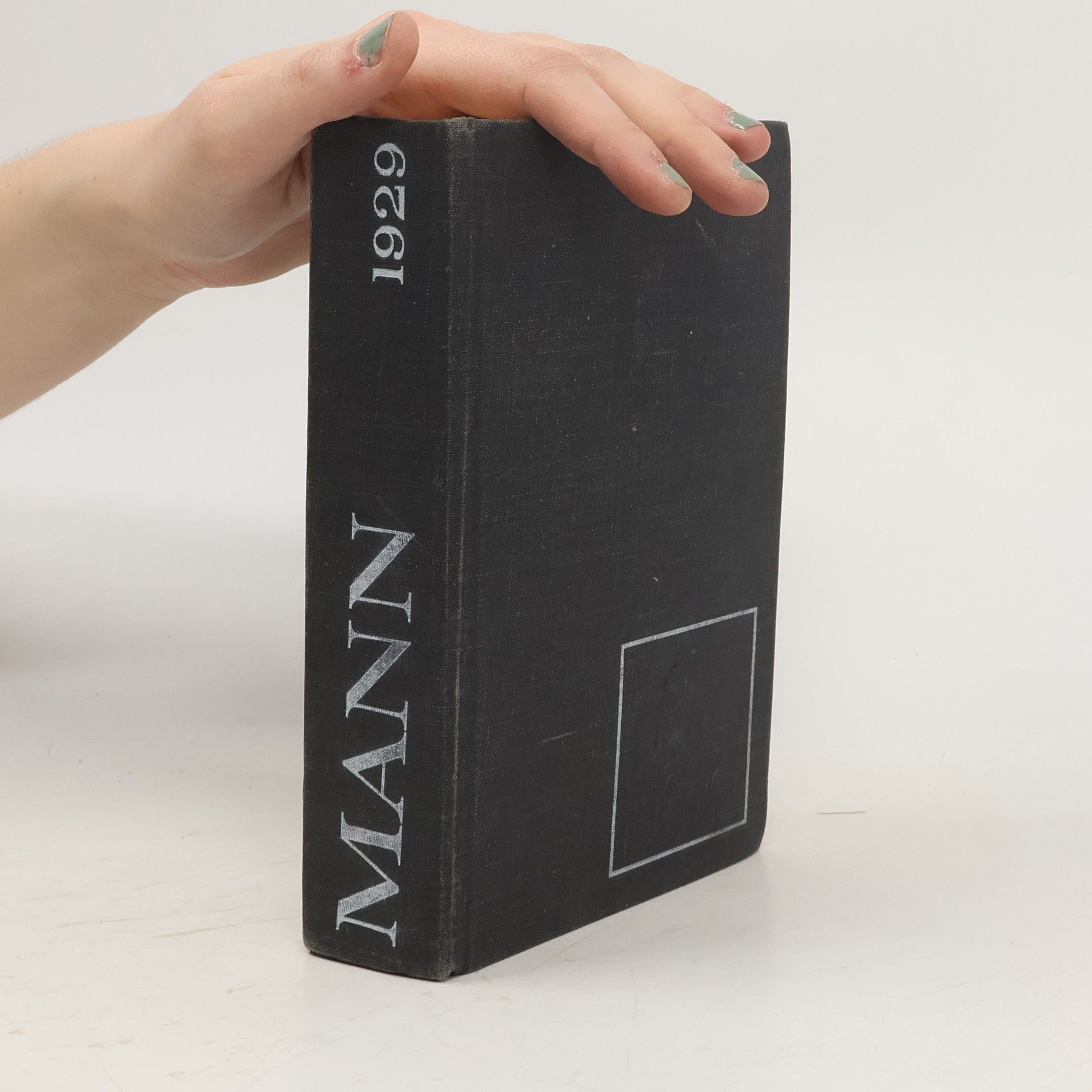 Thomas Mann Buddenbrookovci