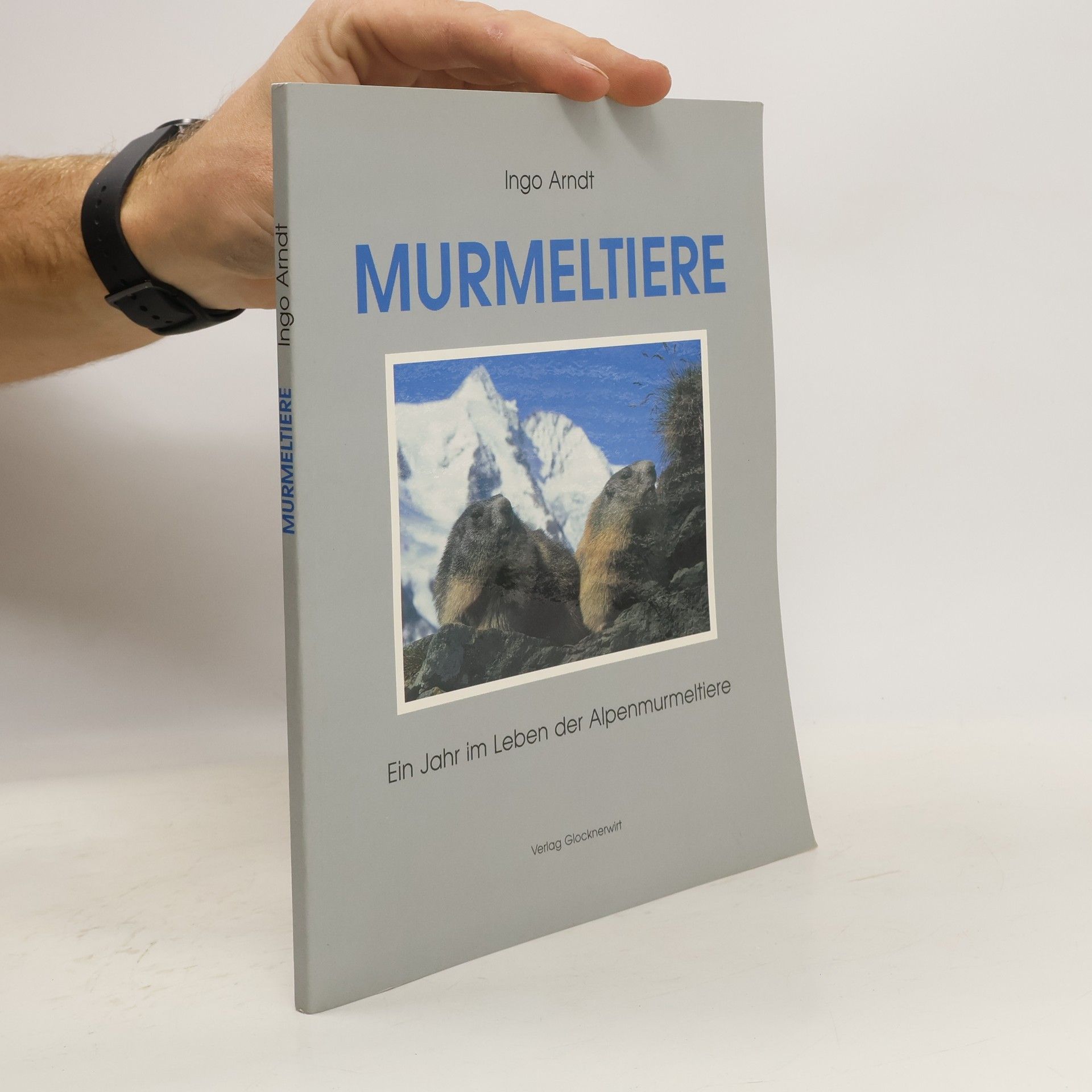Murmeltiere