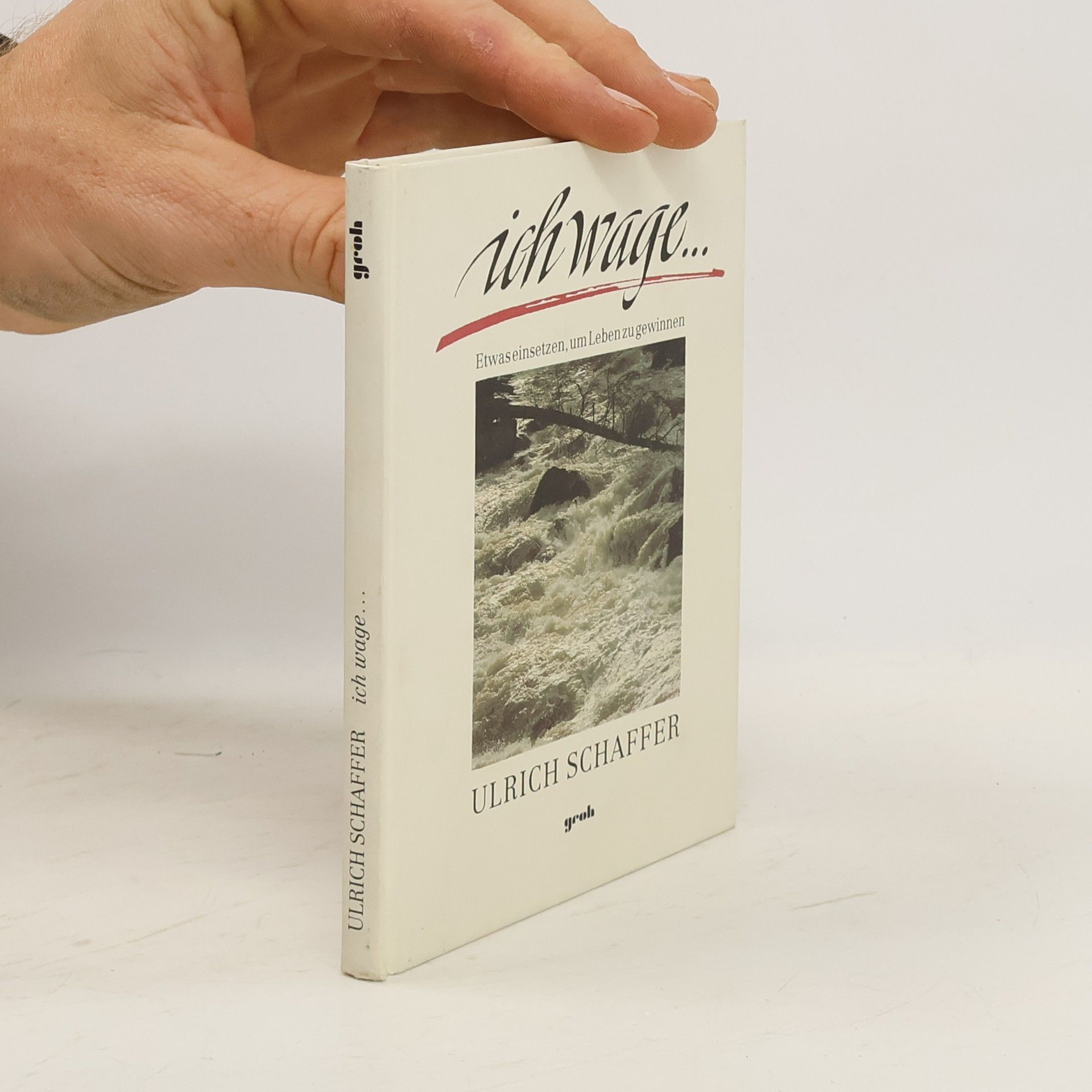 Ulrich Schaffer Ich wage ...
