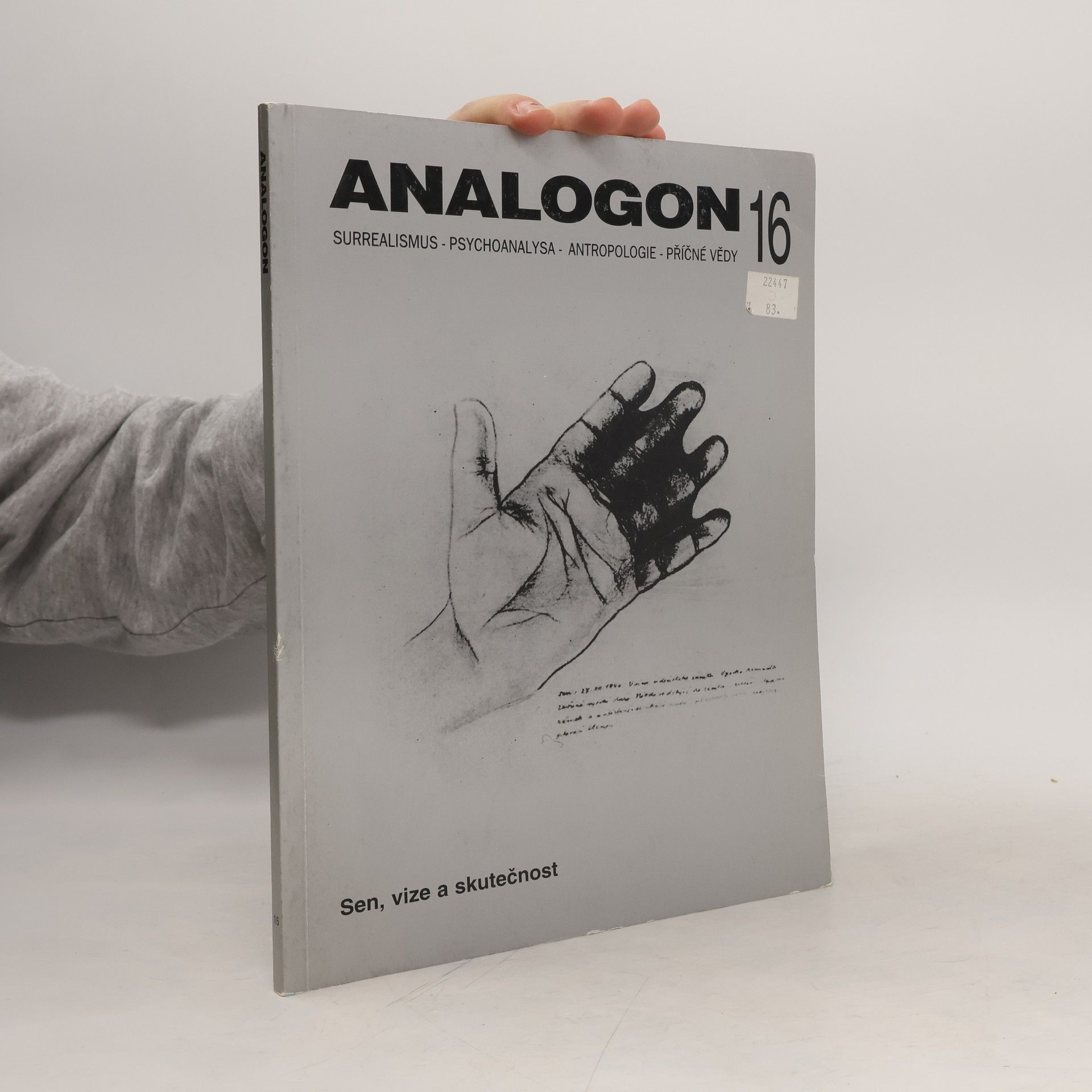 Collectif d'auteurs Analogon 16. Sen, vize a skutečnost