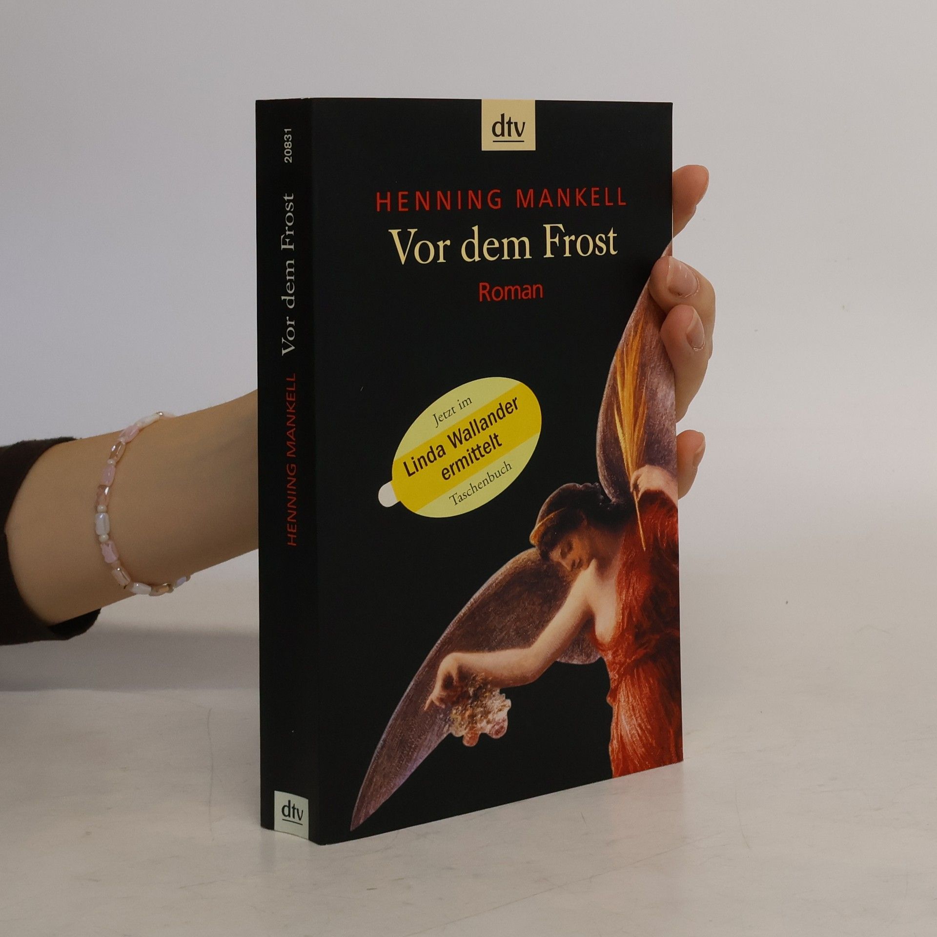 Henning Mankell Vor dem Frost