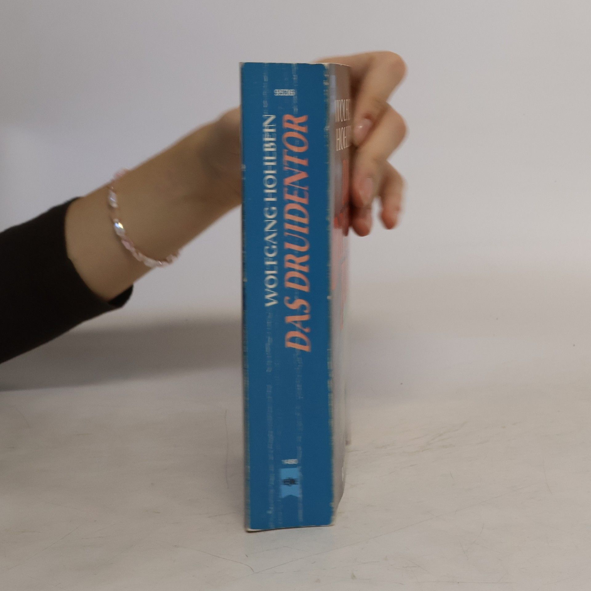 Wolfgang Hohlbein Das Druidentor