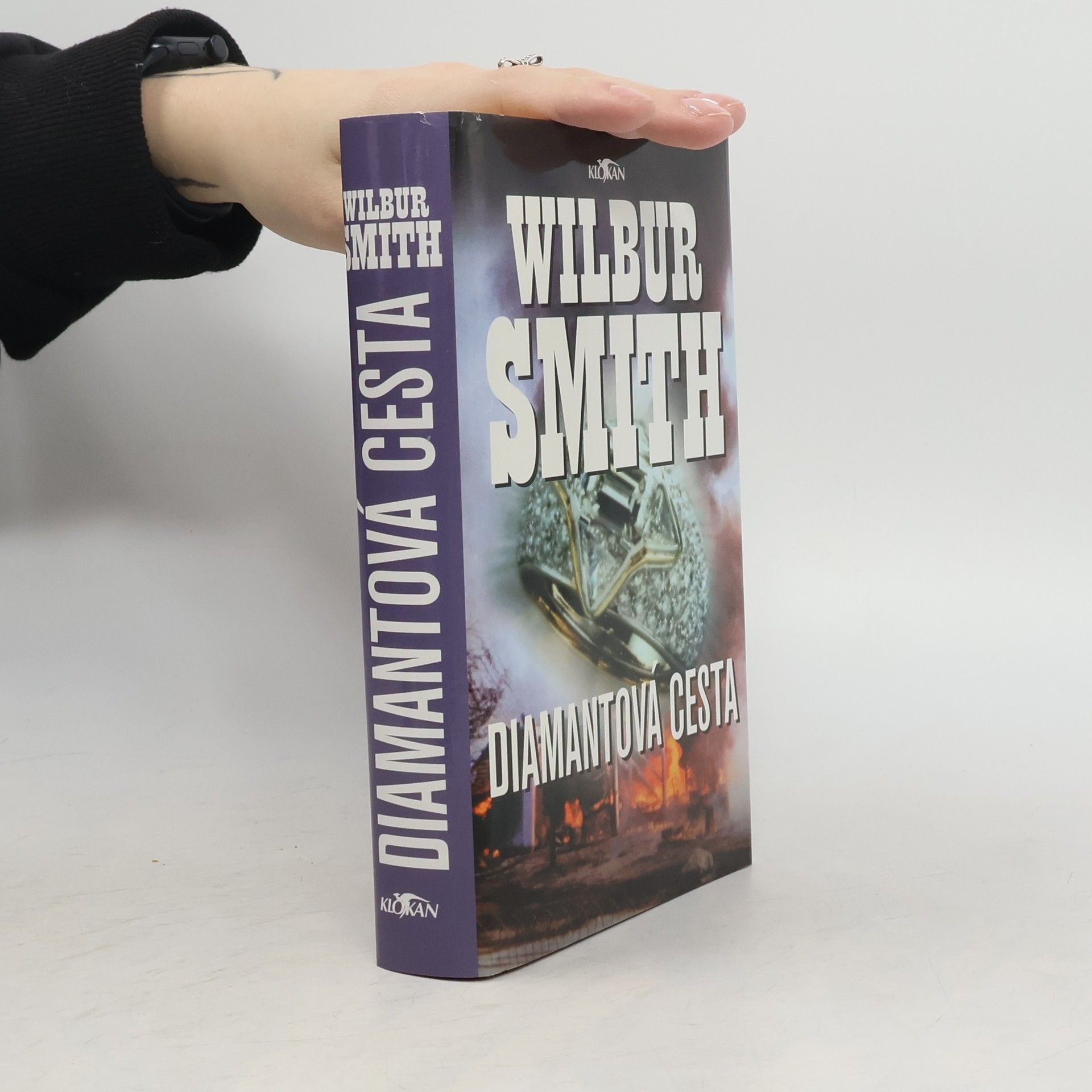 Wilbur Smith Diamantová cesta