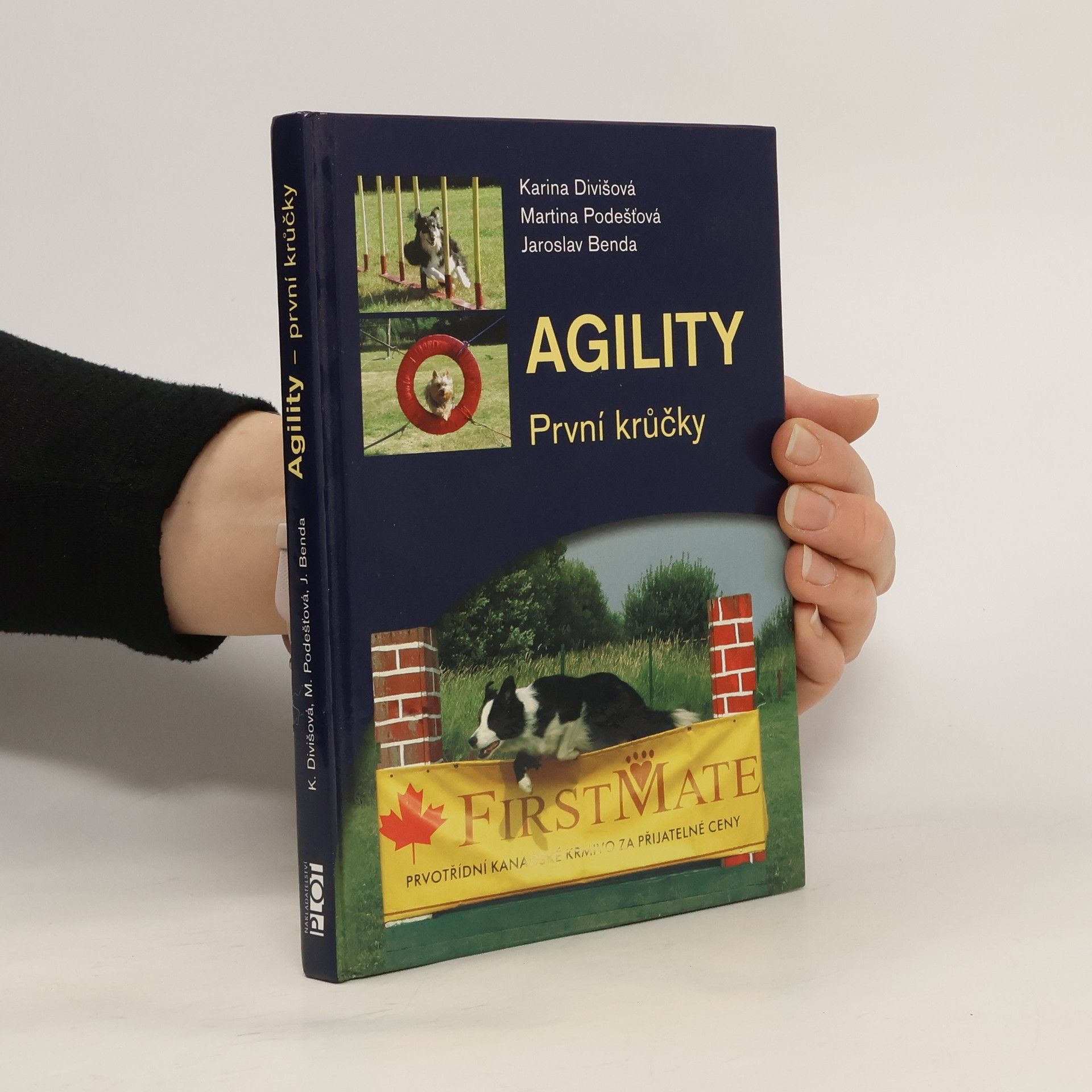 Agility: První krůčky