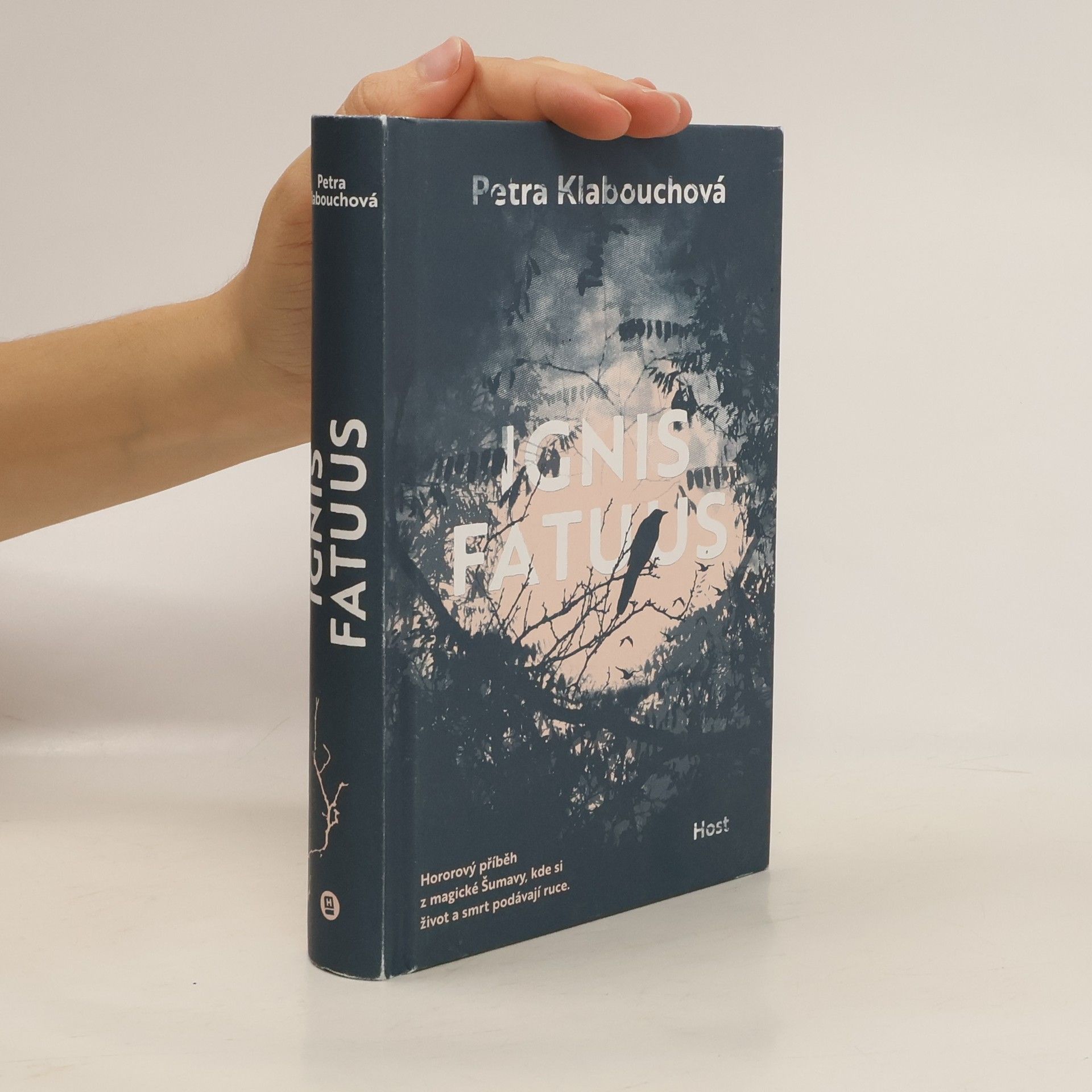 Petra Klabouchová Ignis Fatuus