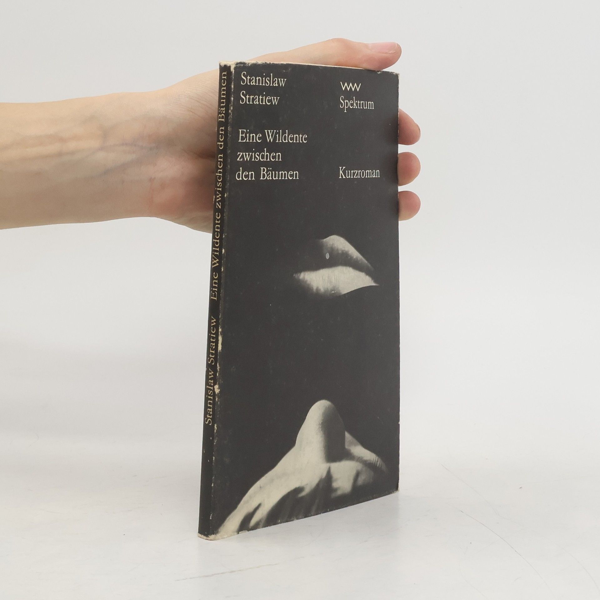 Eine Wildente zwischen den Bäumen