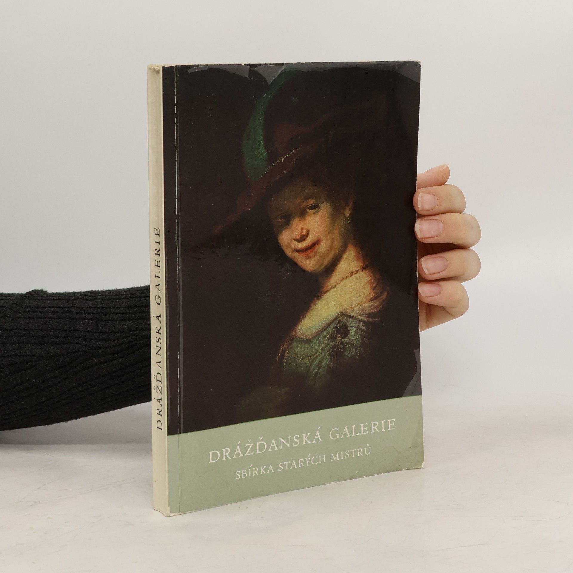 Kolektiv autorů Drážďanská galerie. Sbírka starých mistrů