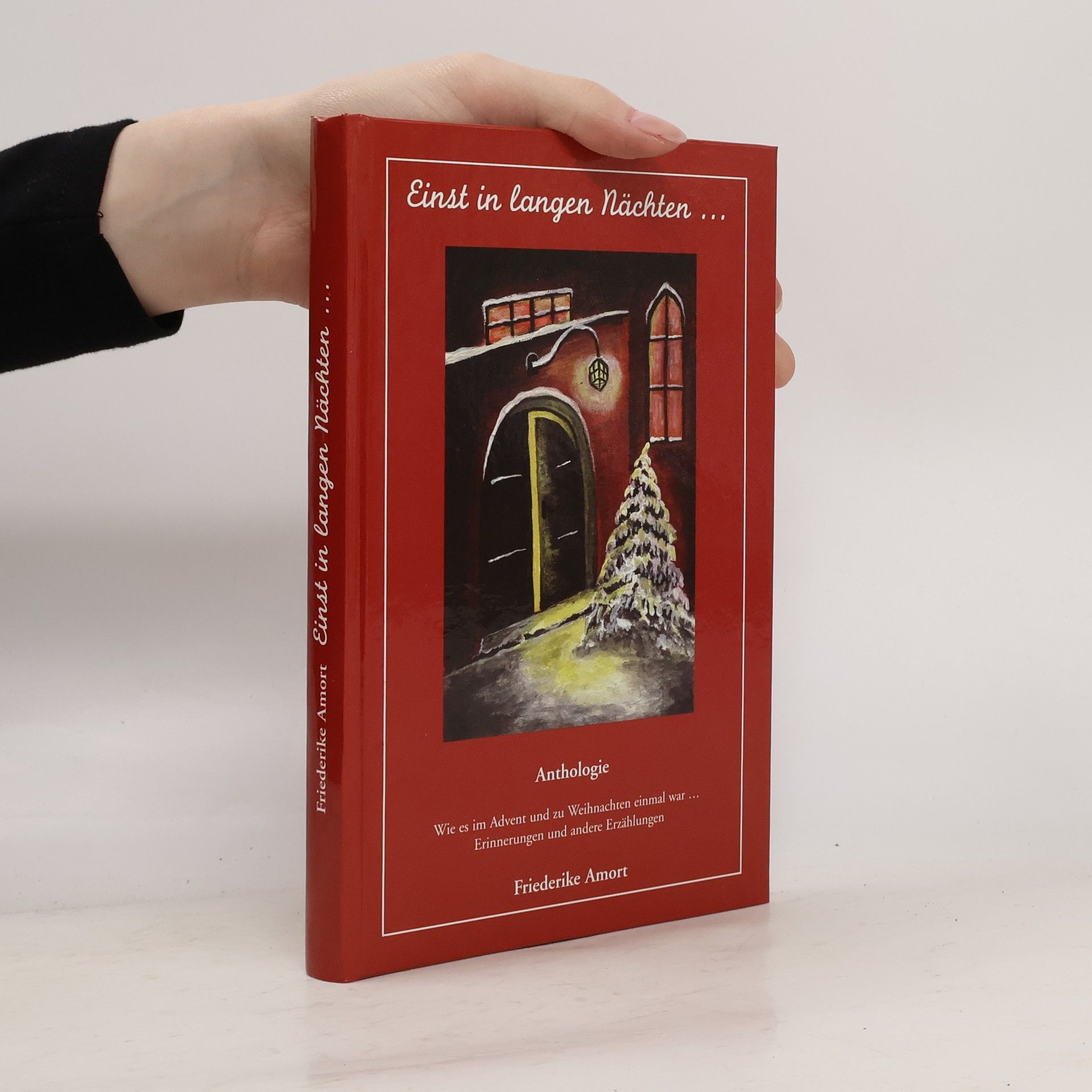 Friederike Amort Einst in langen Nächten