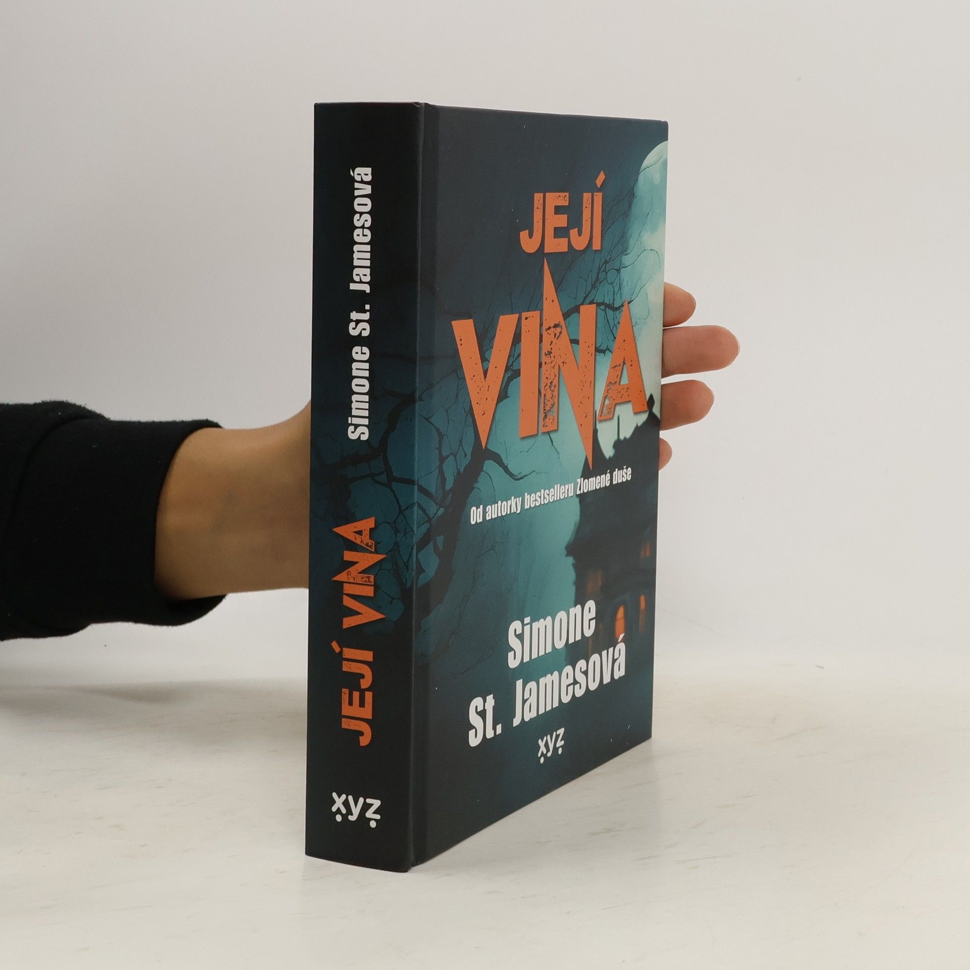 Simone St. James Její vina