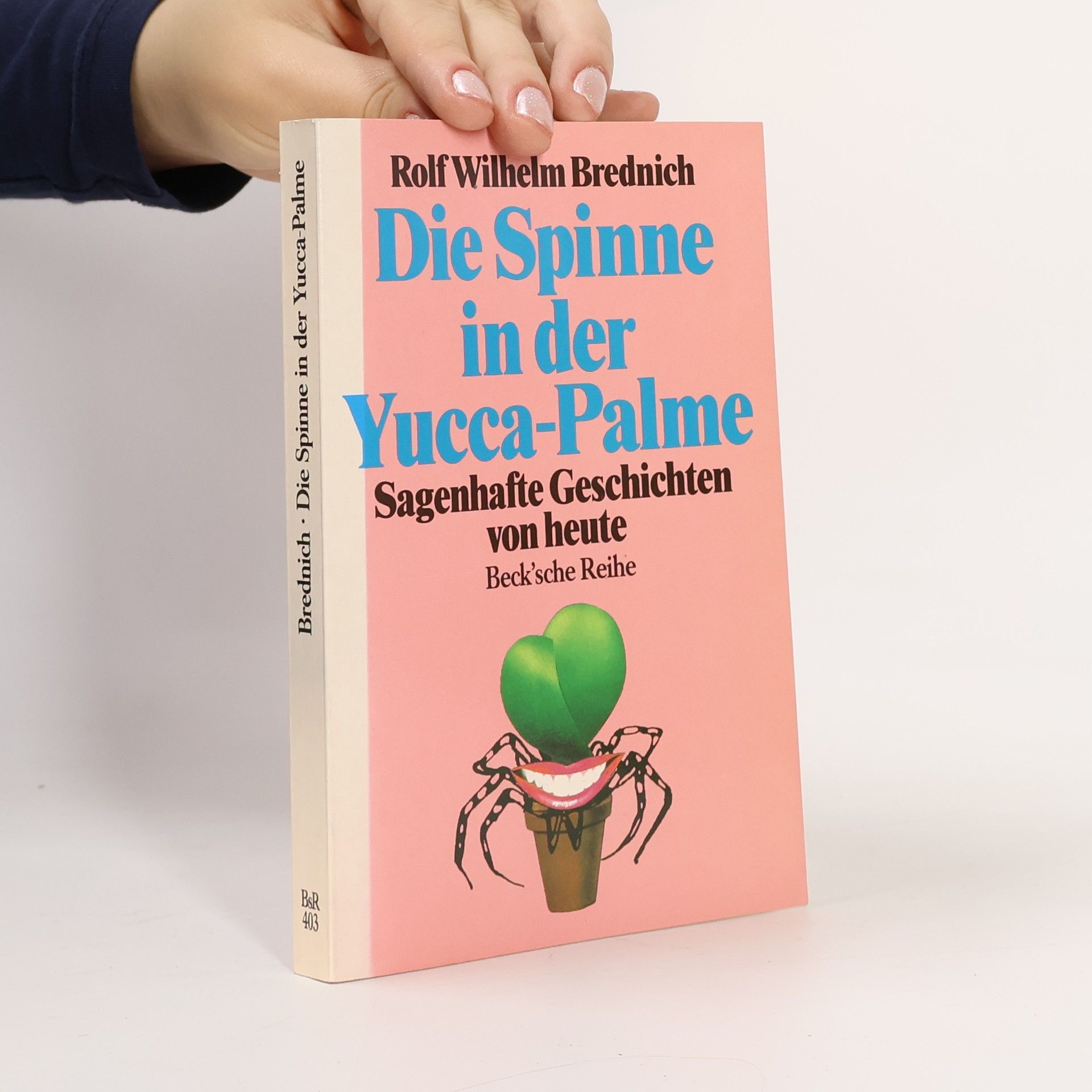 Rolf Wilhelm Brednich Die Spinne in der Yucca-Palme