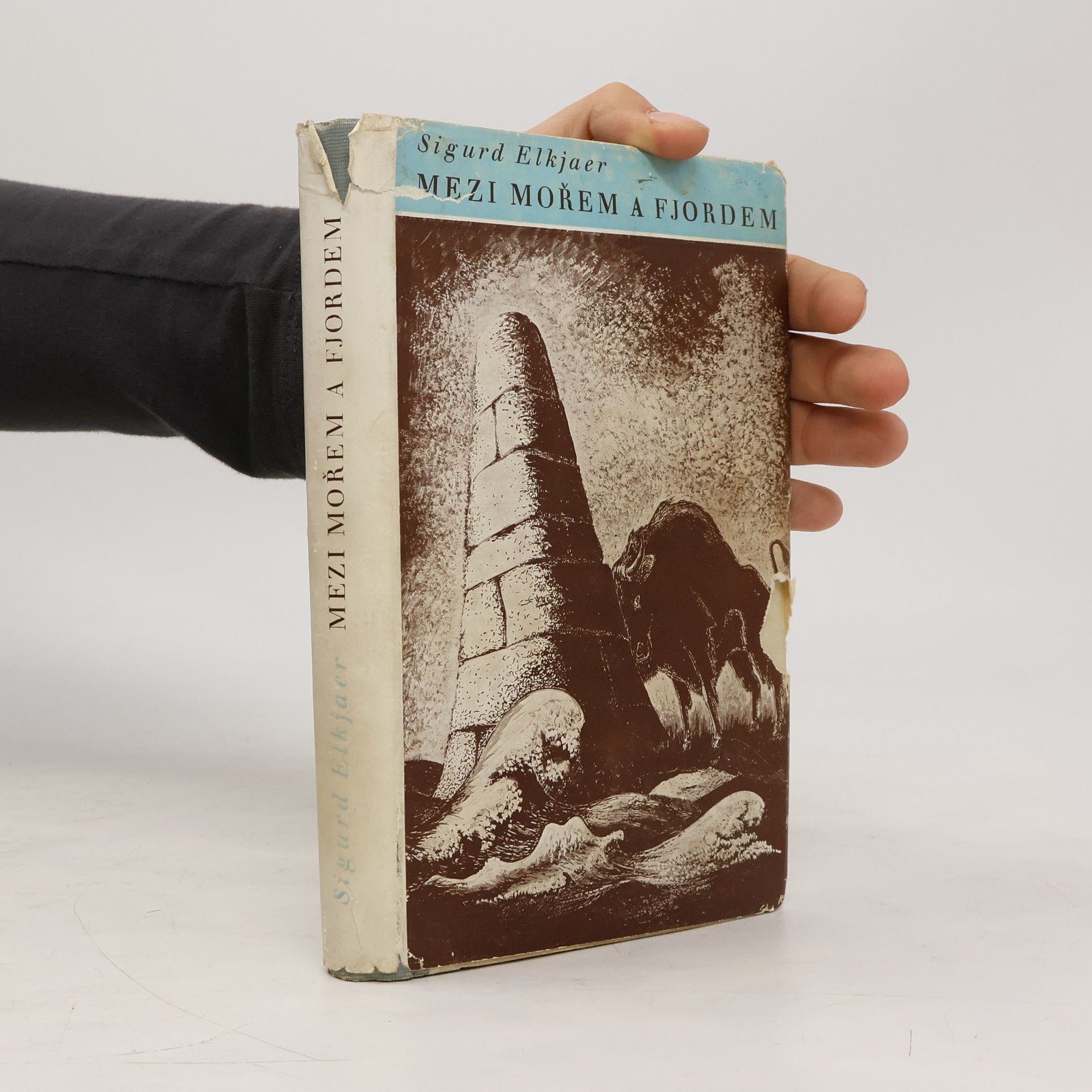 Sigurd Elkjaer Mezi mořem a fjordem