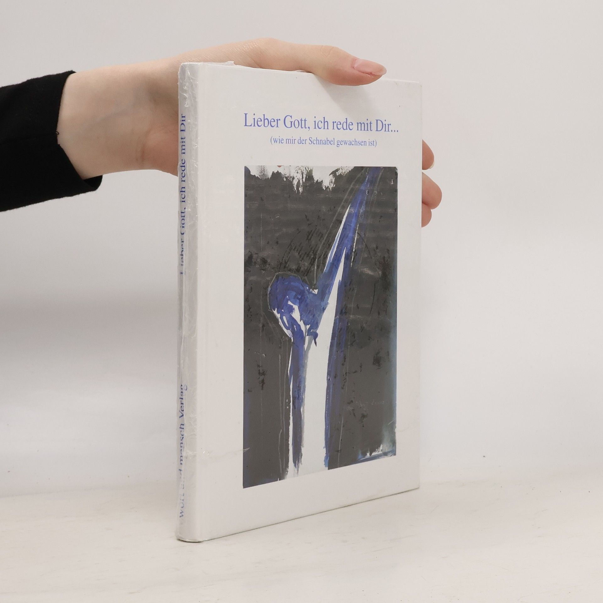 Auteurscollectief Lieber Gott, ich rede mit Dir ...