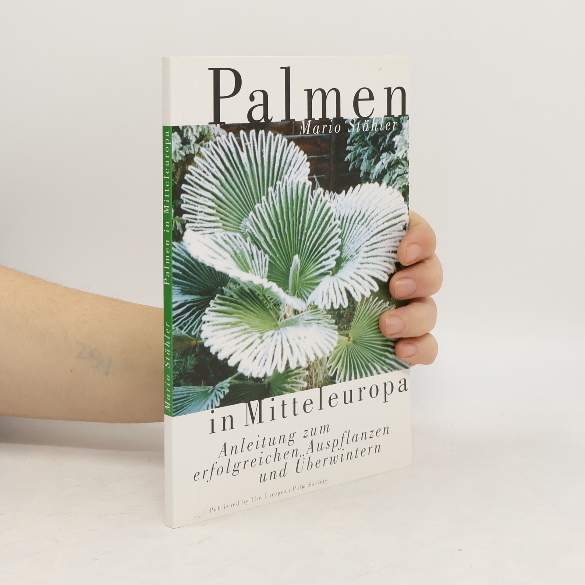 Palmen im Mitteleuropa