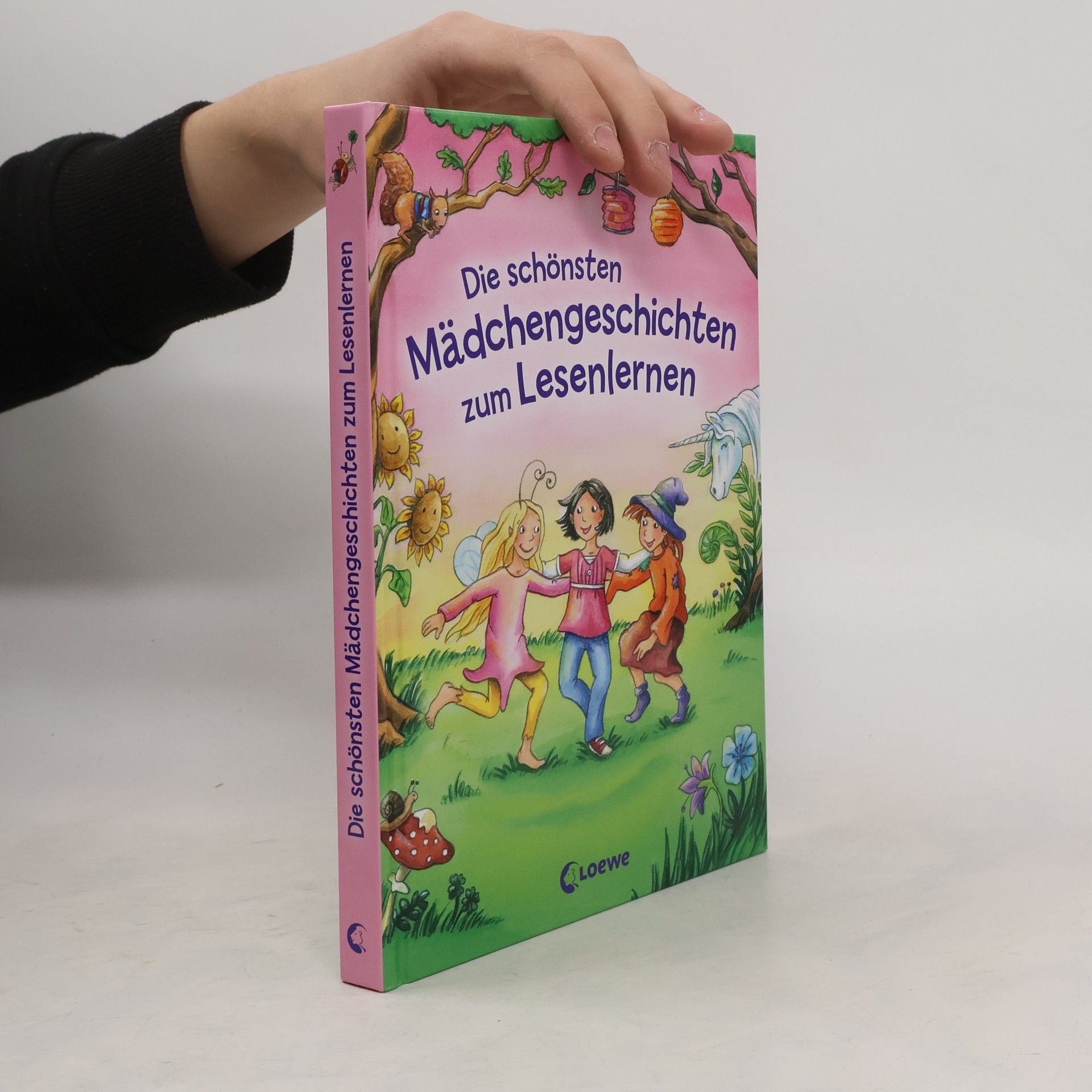 Autorenkollektiv Die schönsten Mädchengeschichten zum Lesenlernen